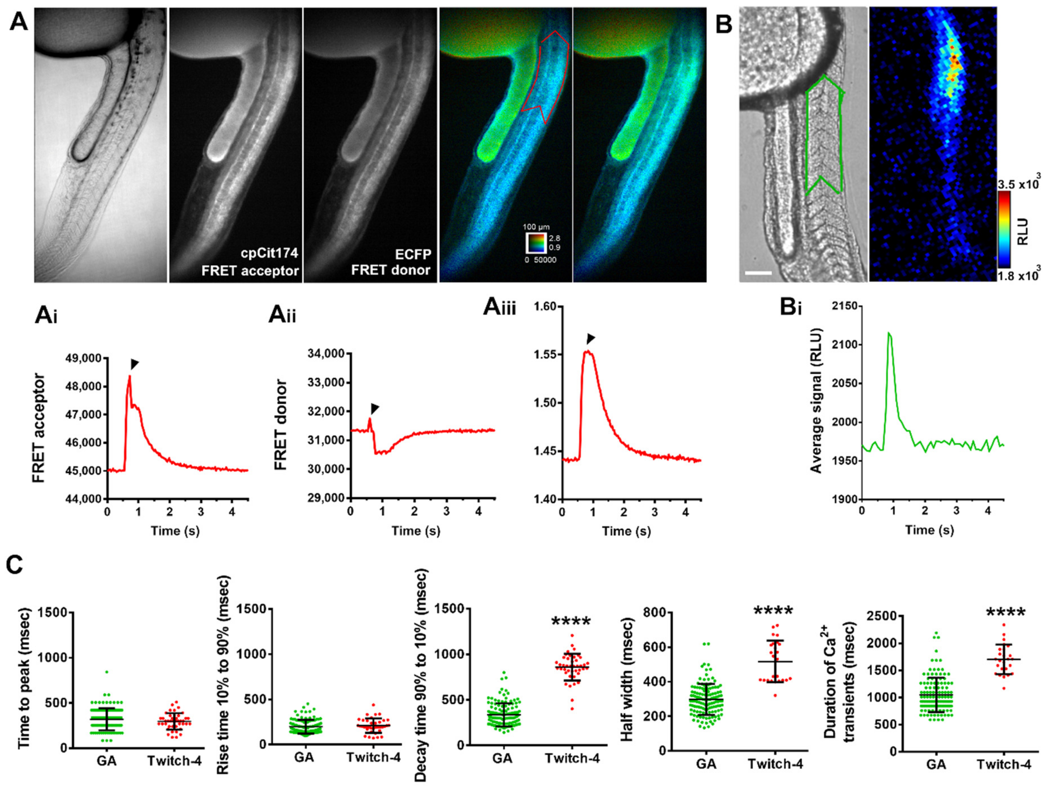 Ijms 20 05409 g006 Ijms 20 05409 g006