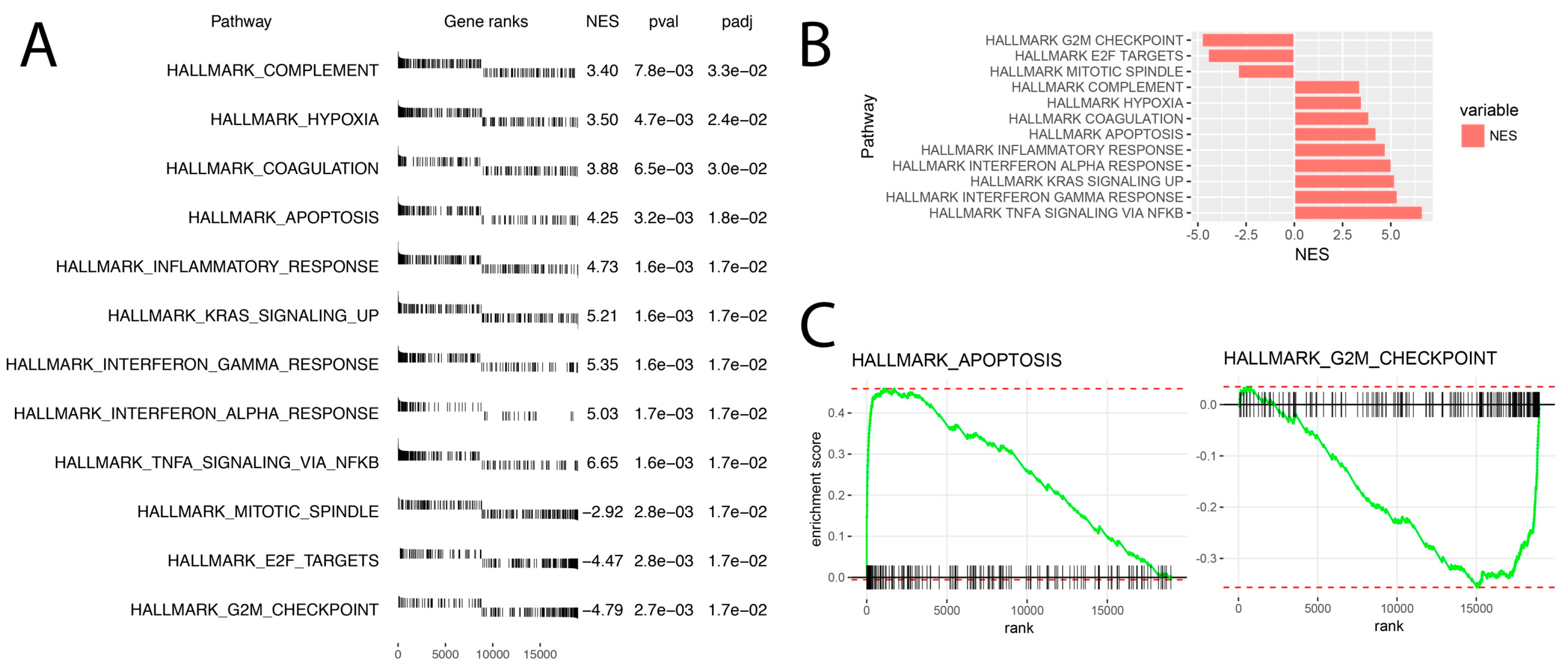 Ijms 20 05412 g004 Ijms 20 05412 g004