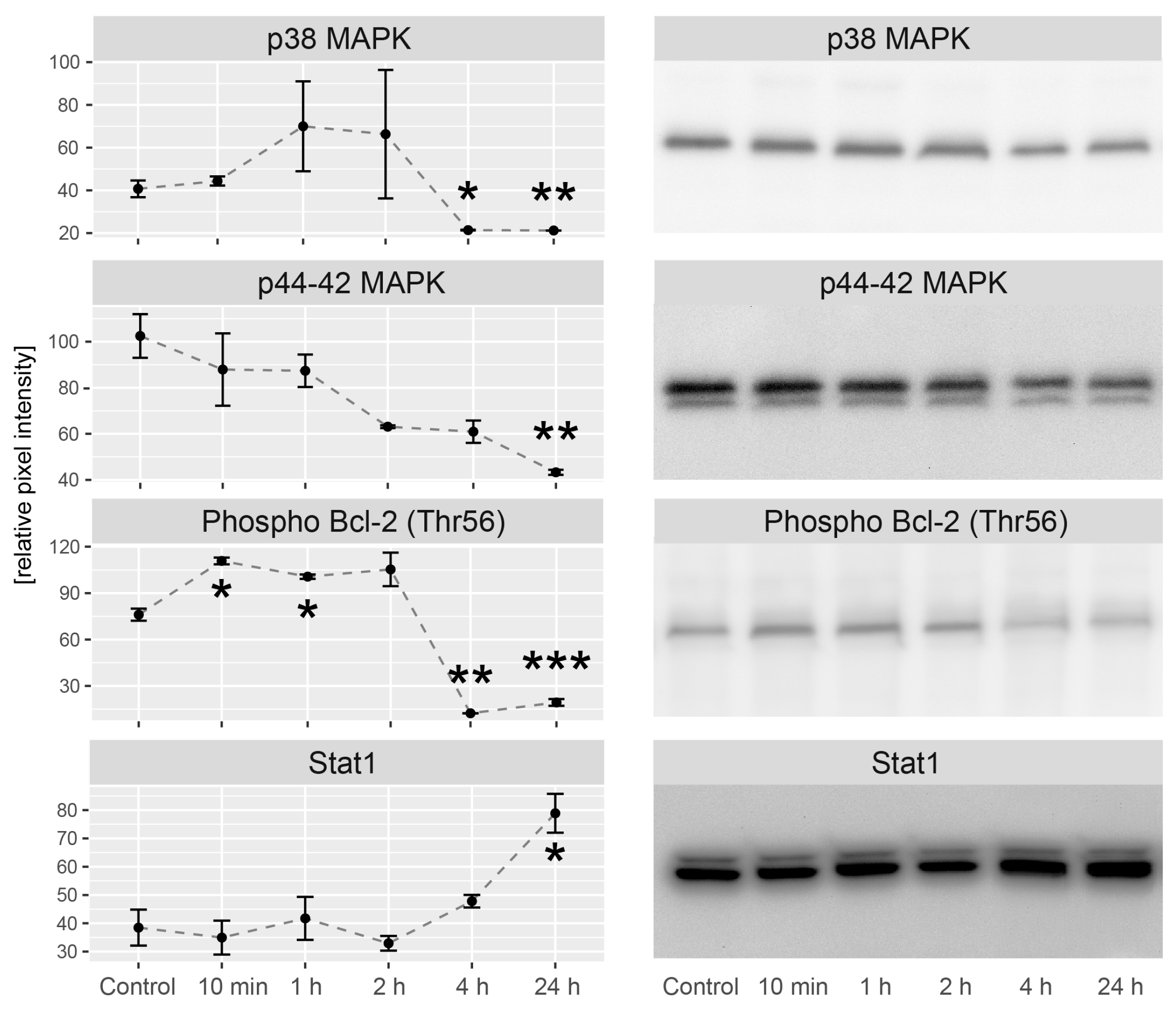 Ijms 20 05412 g009 Ijms 20 05412 g009