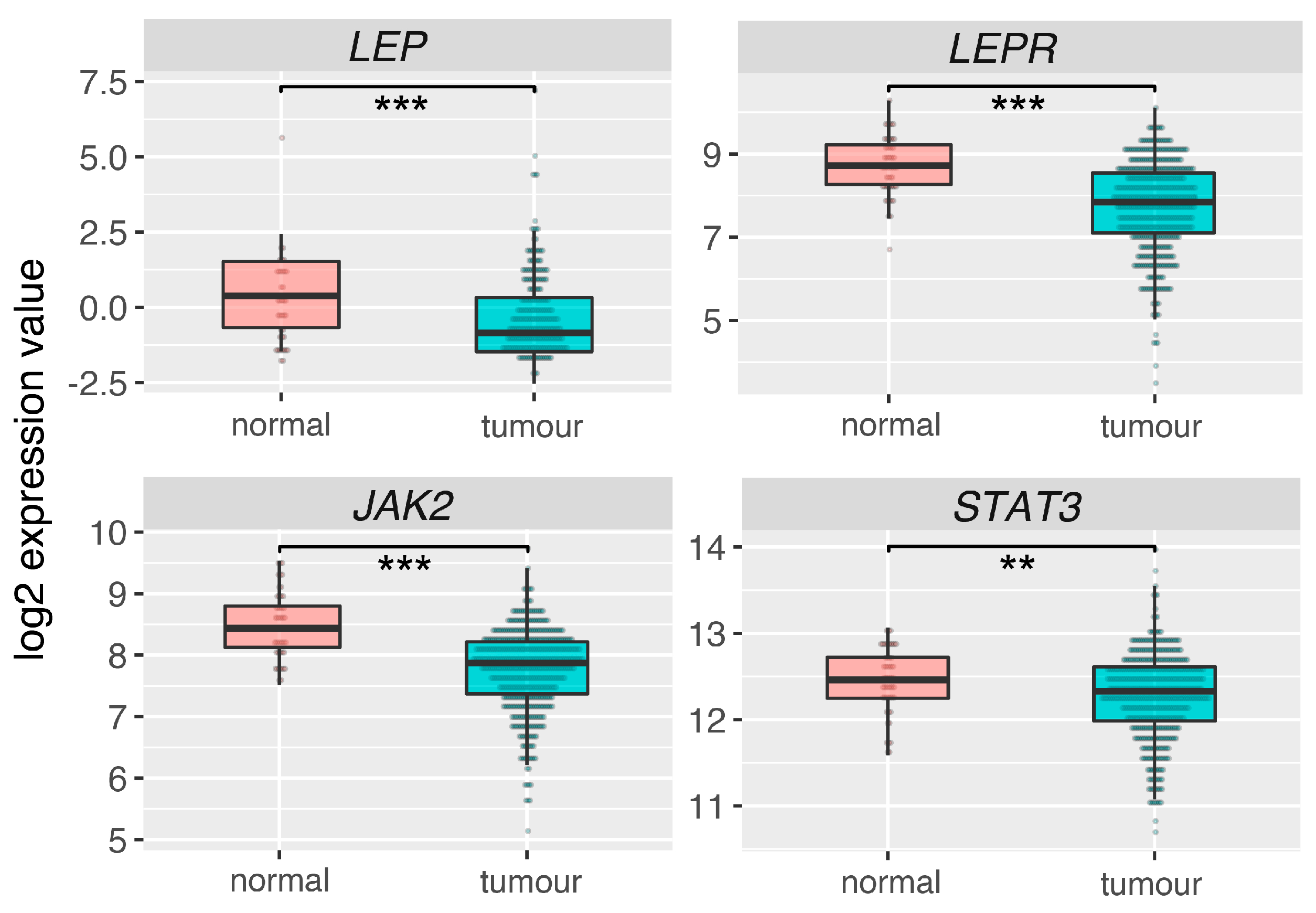 Ijms 20 05412 g011 Ijms 20 05412 g011