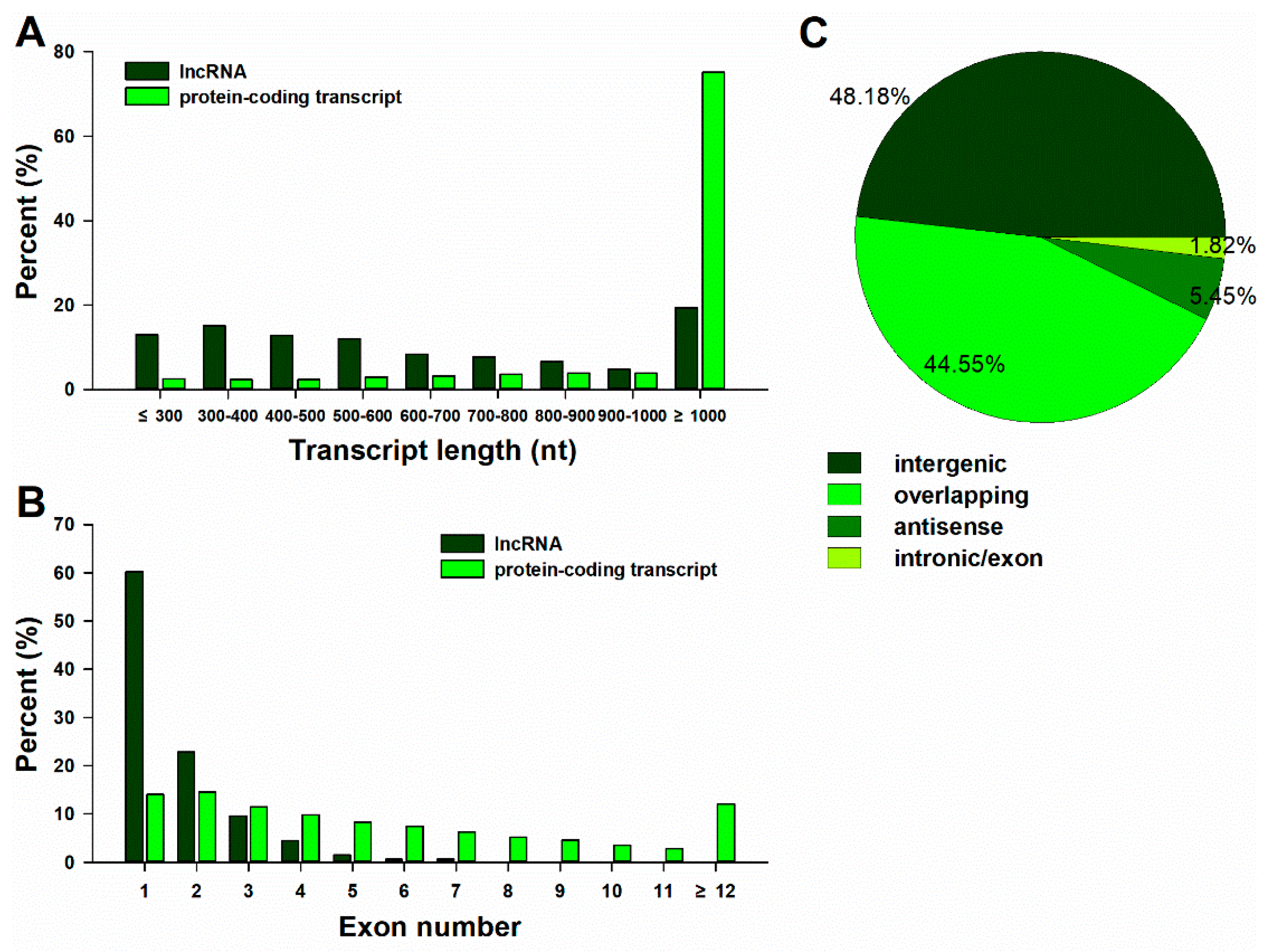 Ijms 20 05419 g003 Ijms 20 05419 g003