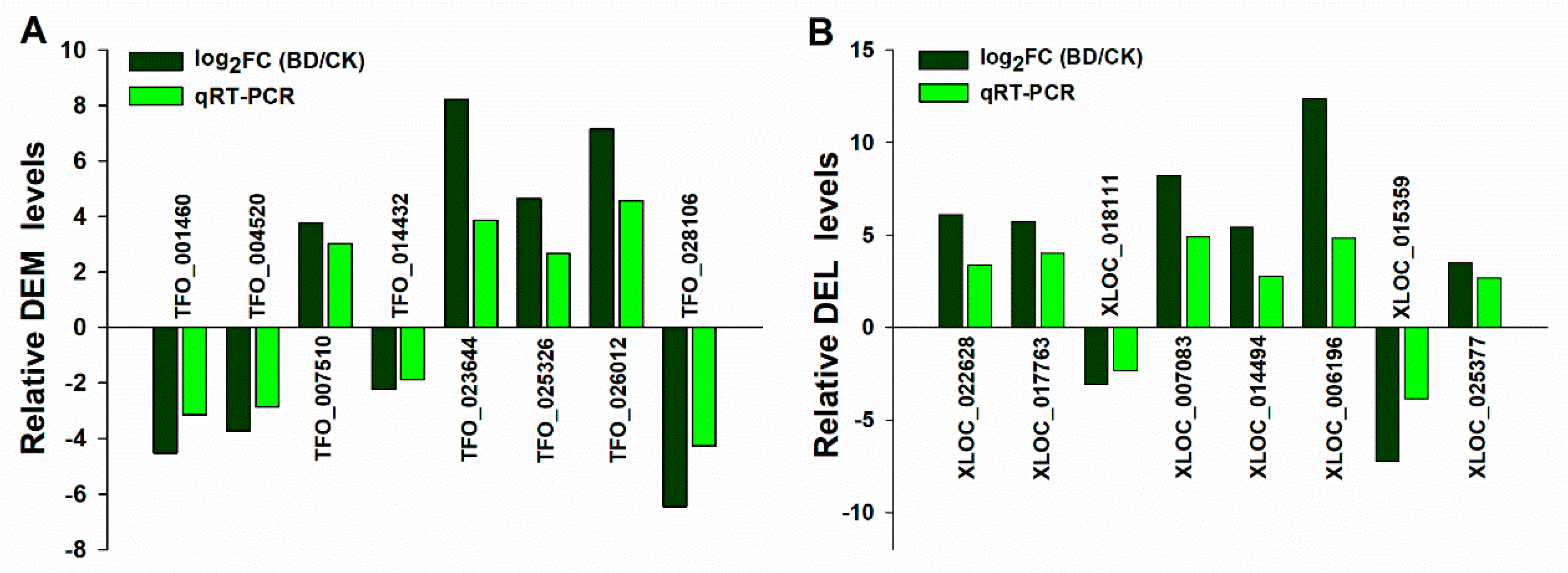 Ijms 20 05419 g004 Ijms 20 05419 g004