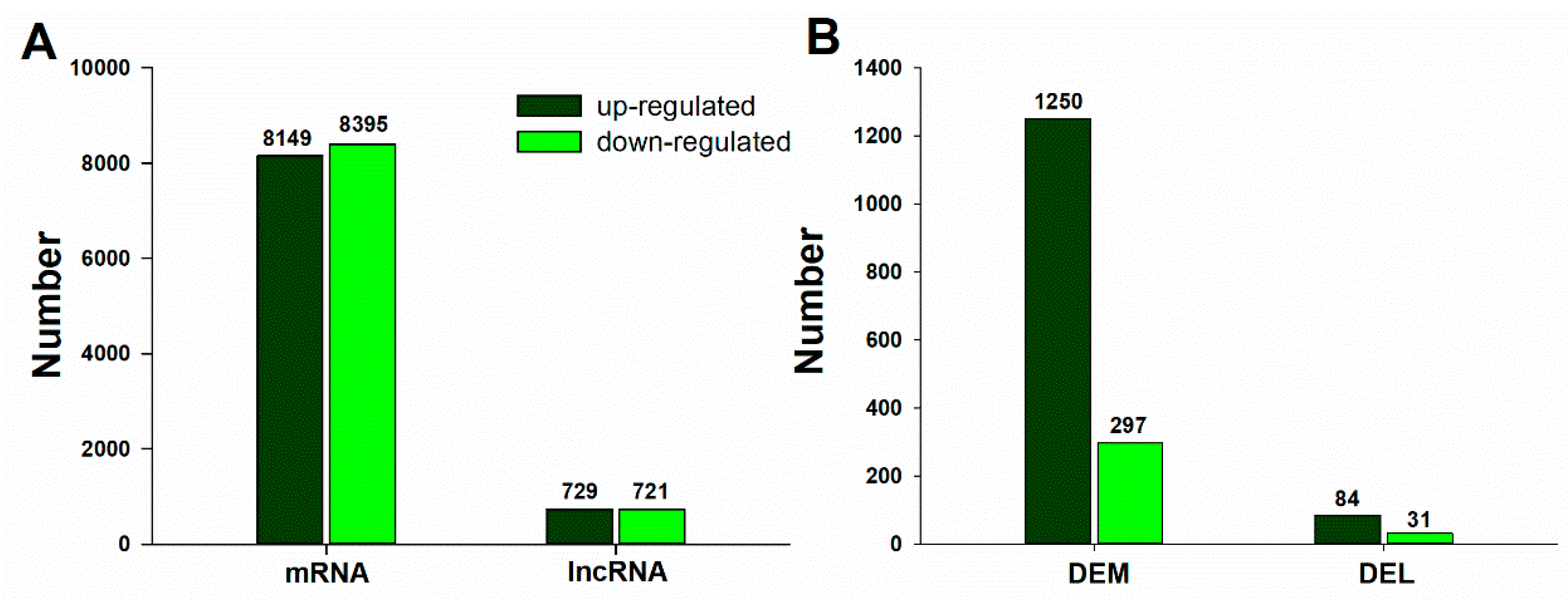 Ijms 20 05419 g005 Ijms 20 05419 g005