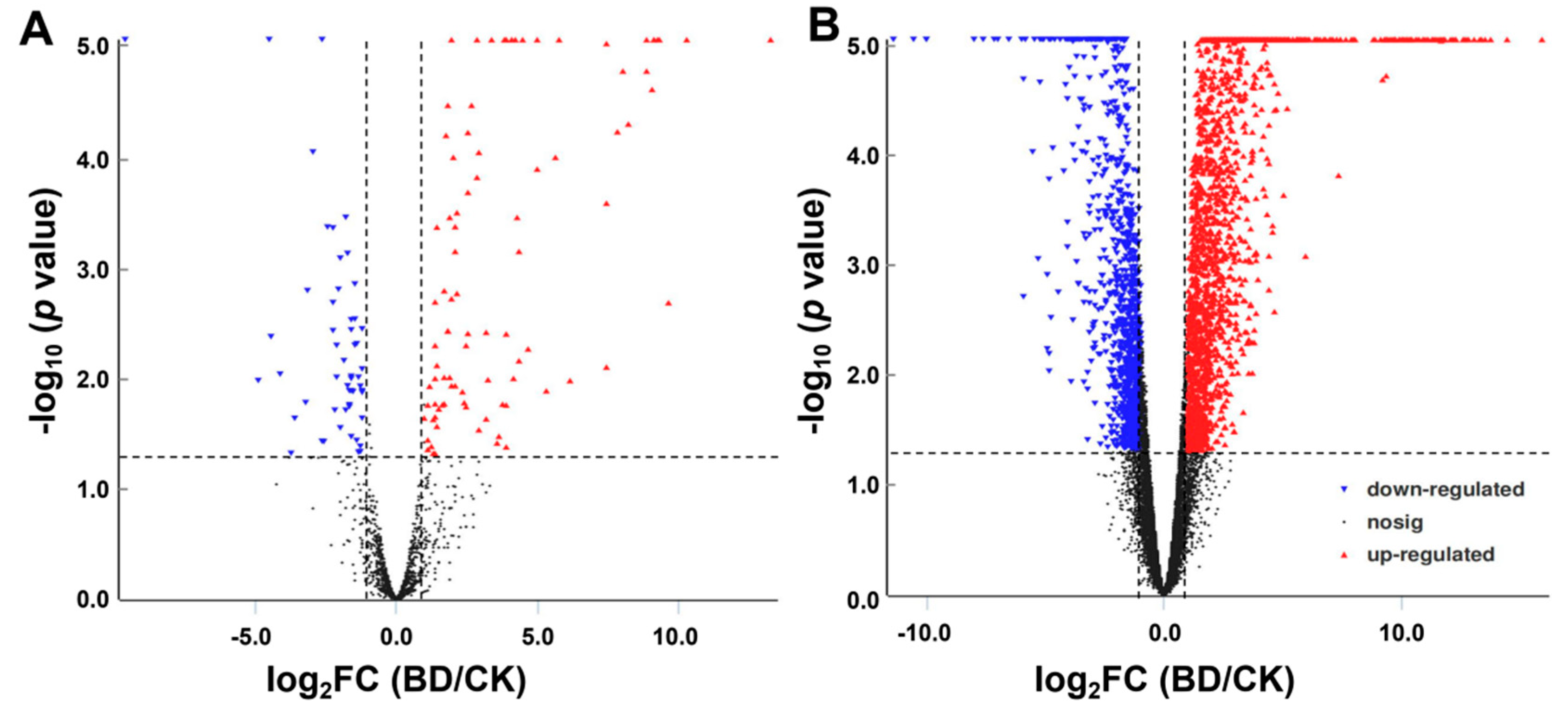 Ijms 20 05419 g006 Ijms 20 05419 g006