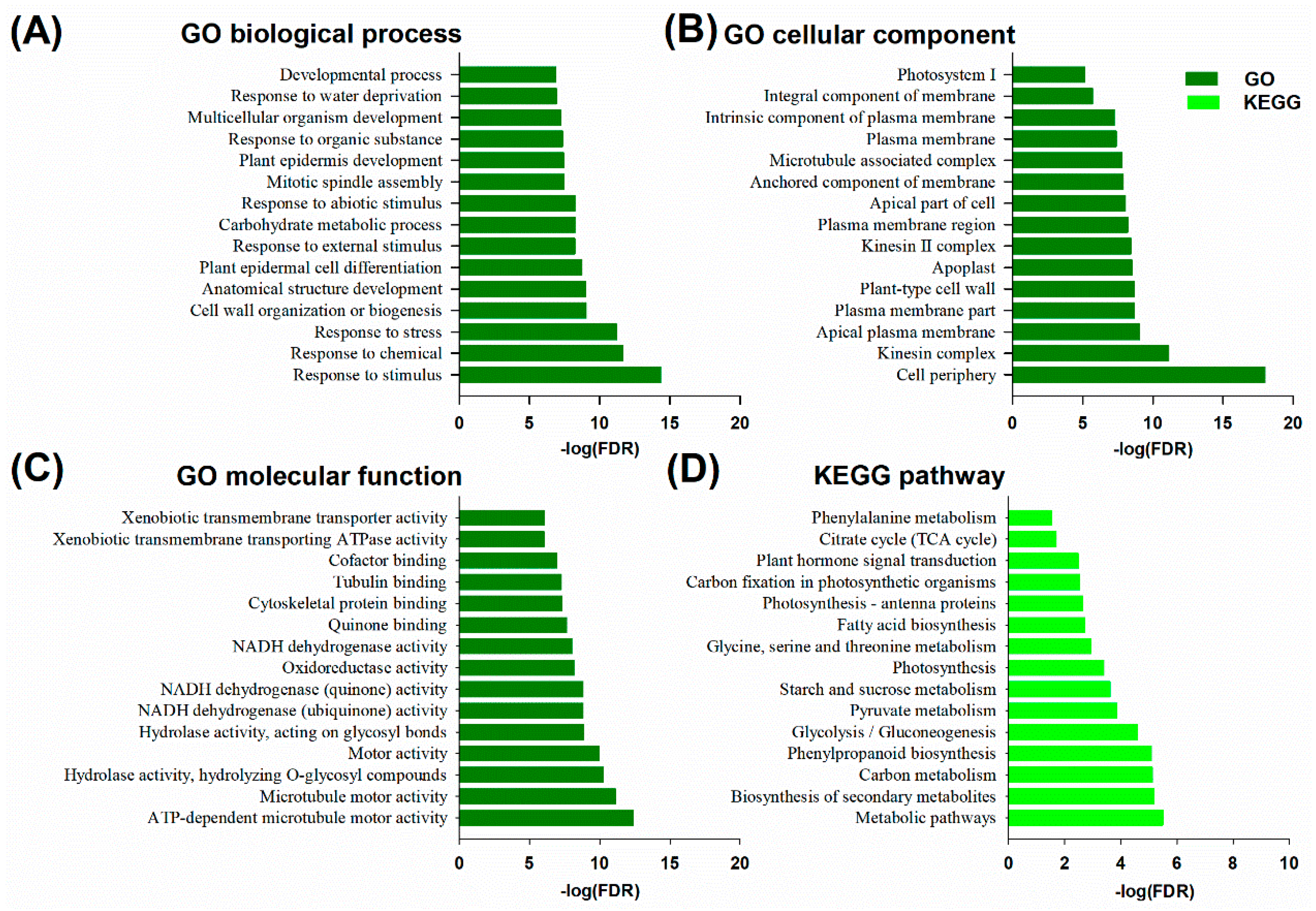 Ijms 20 05419 g007 Ijms 20 05419 g007