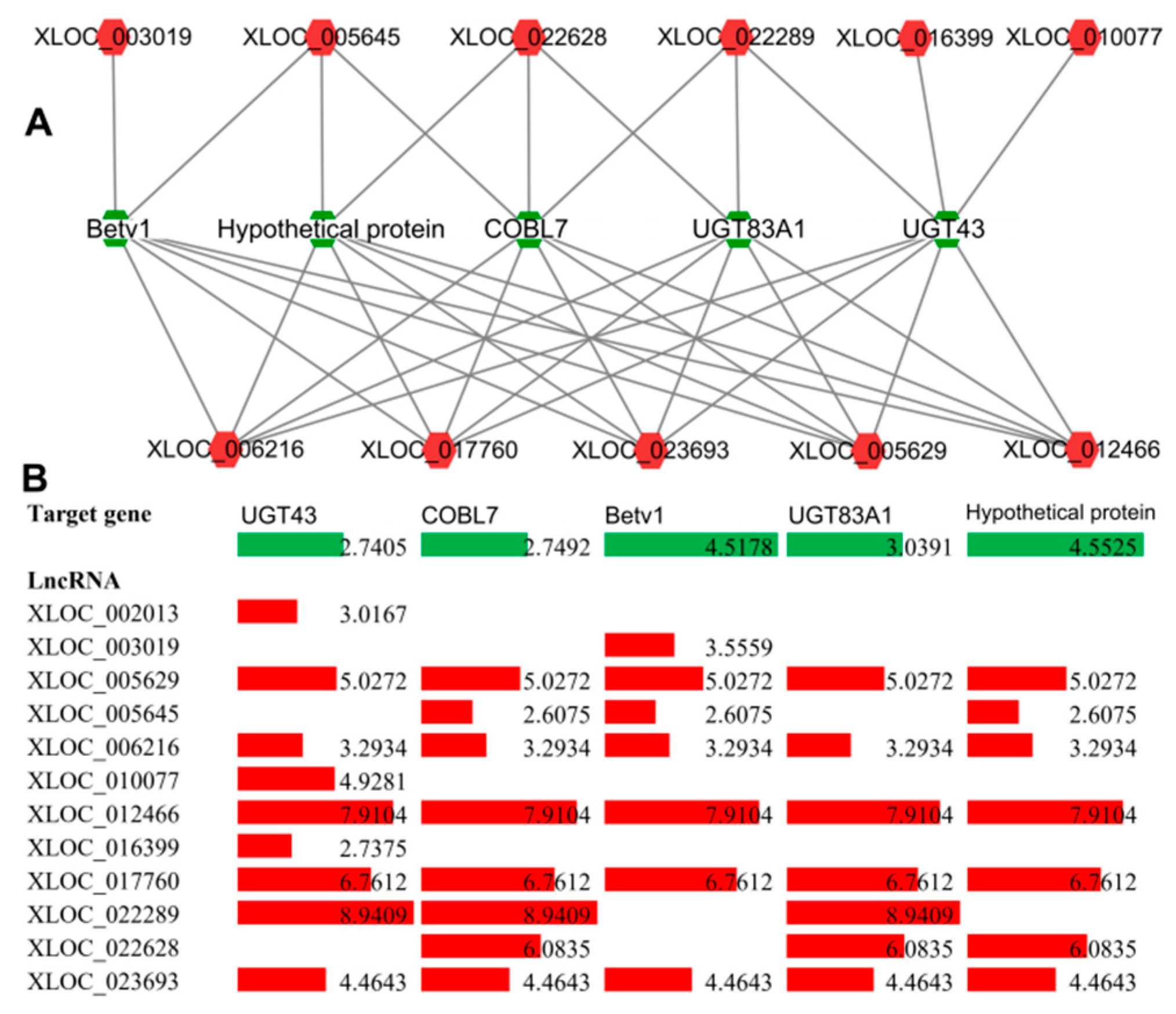 Ijms 20 05419 g010 Ijms 20 05419 g010