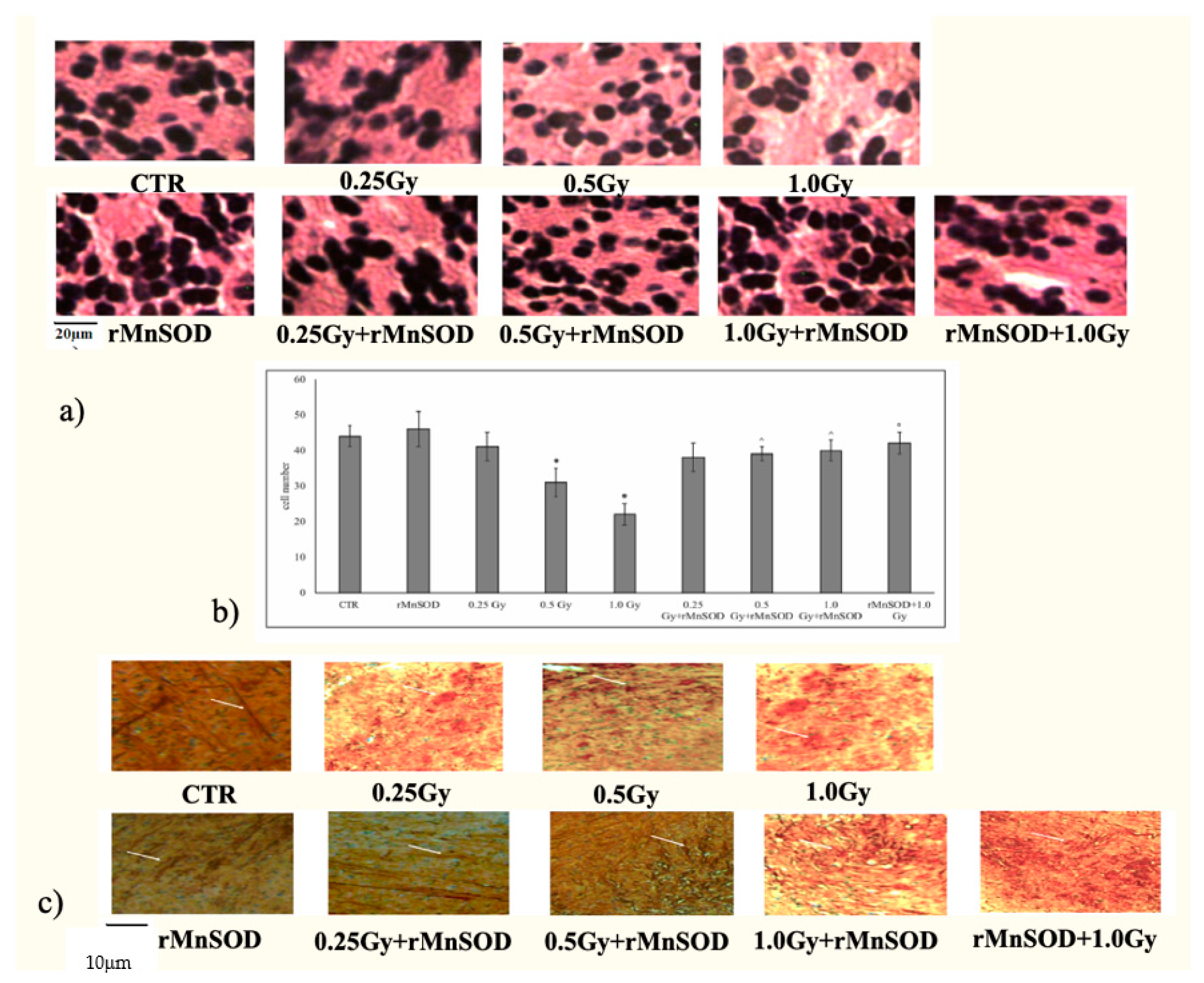 Ijms 20 05431 g002 550