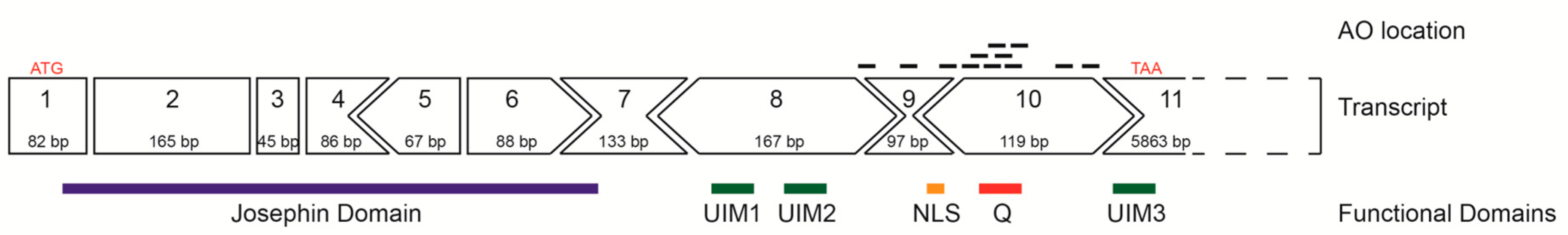 Ijms 20 05434 g001
