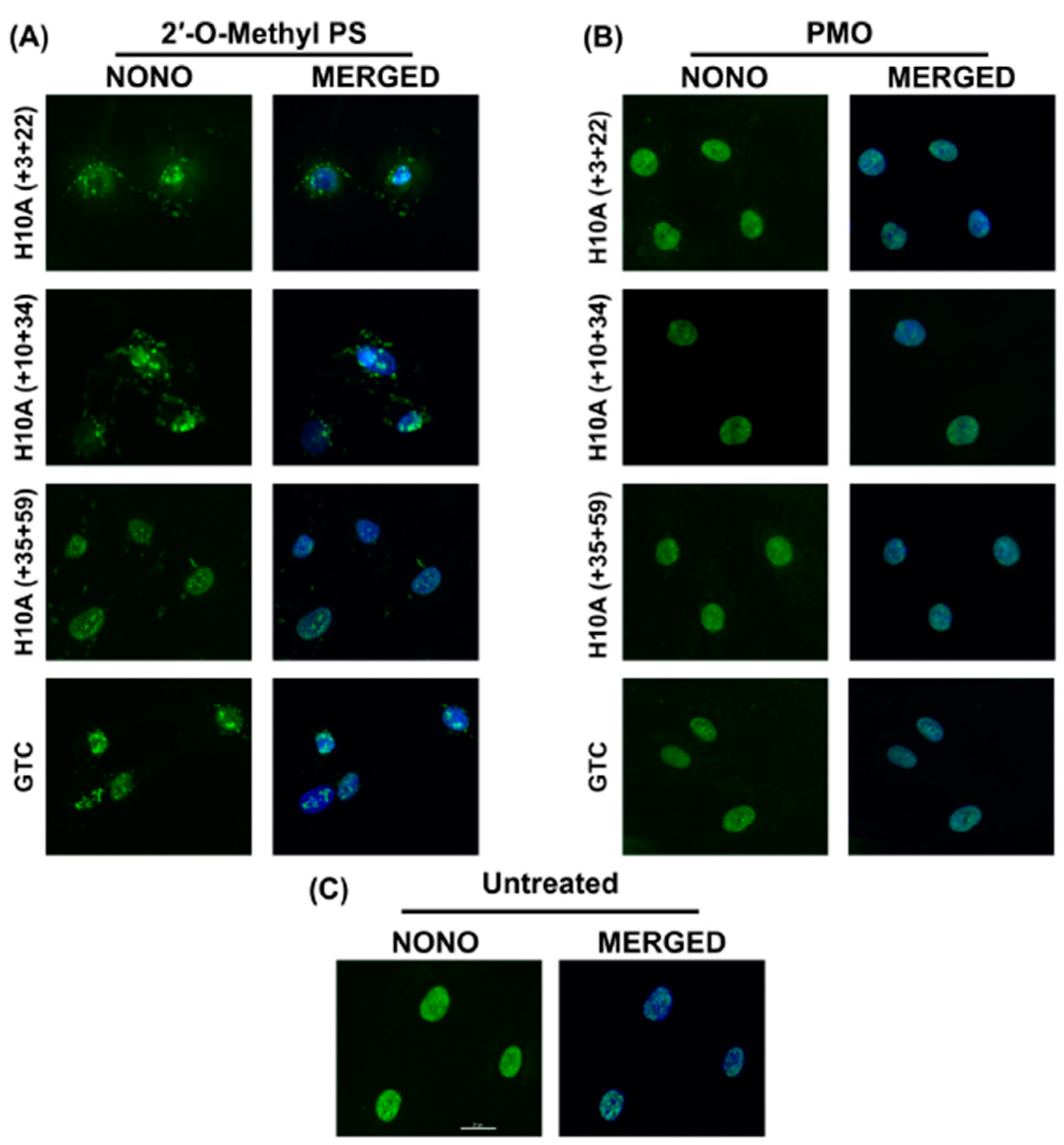 Ijms 20 05434 g004