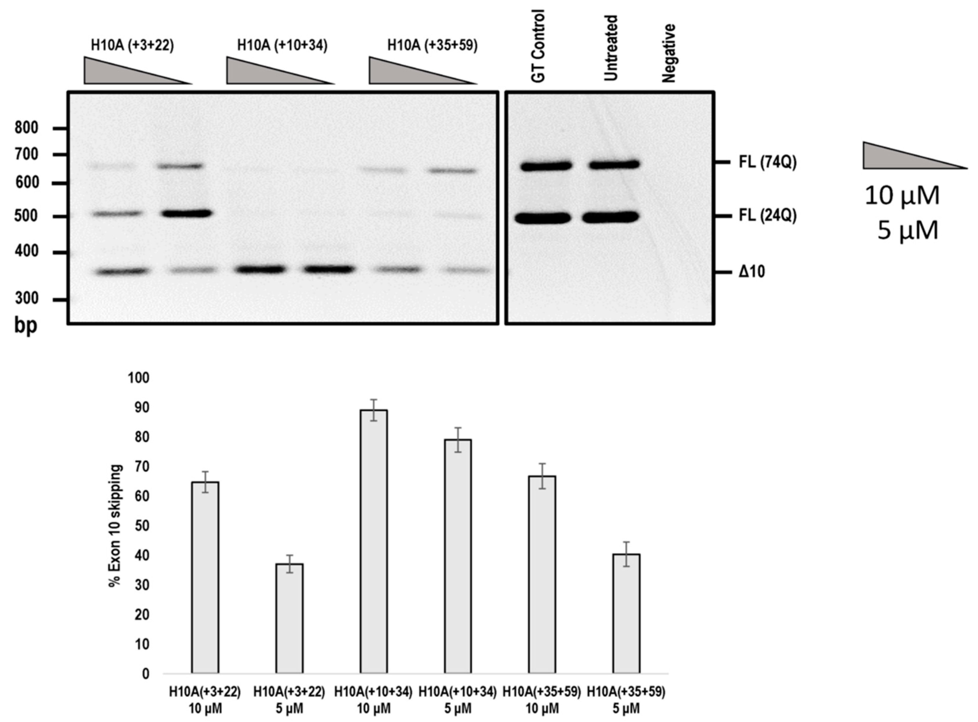 Ijms 20 05434 g005