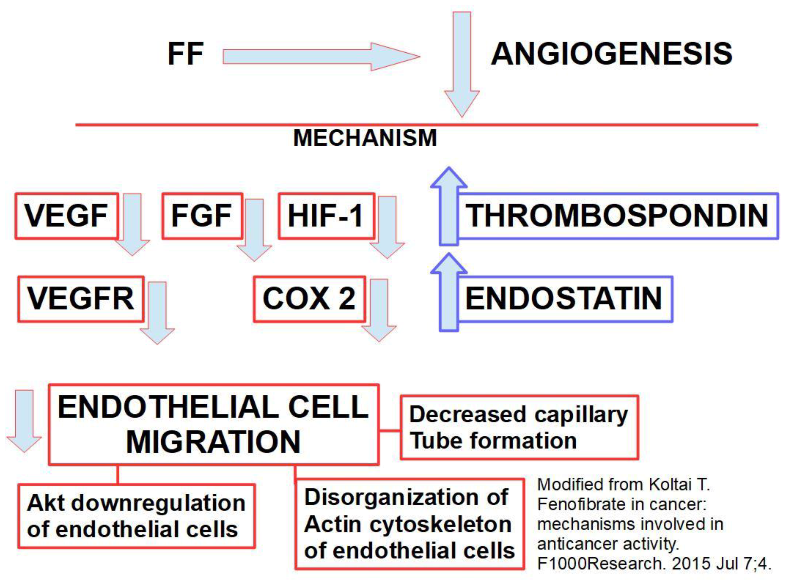 Ijms 20 05438 g002 Ijms 20 05438 g002