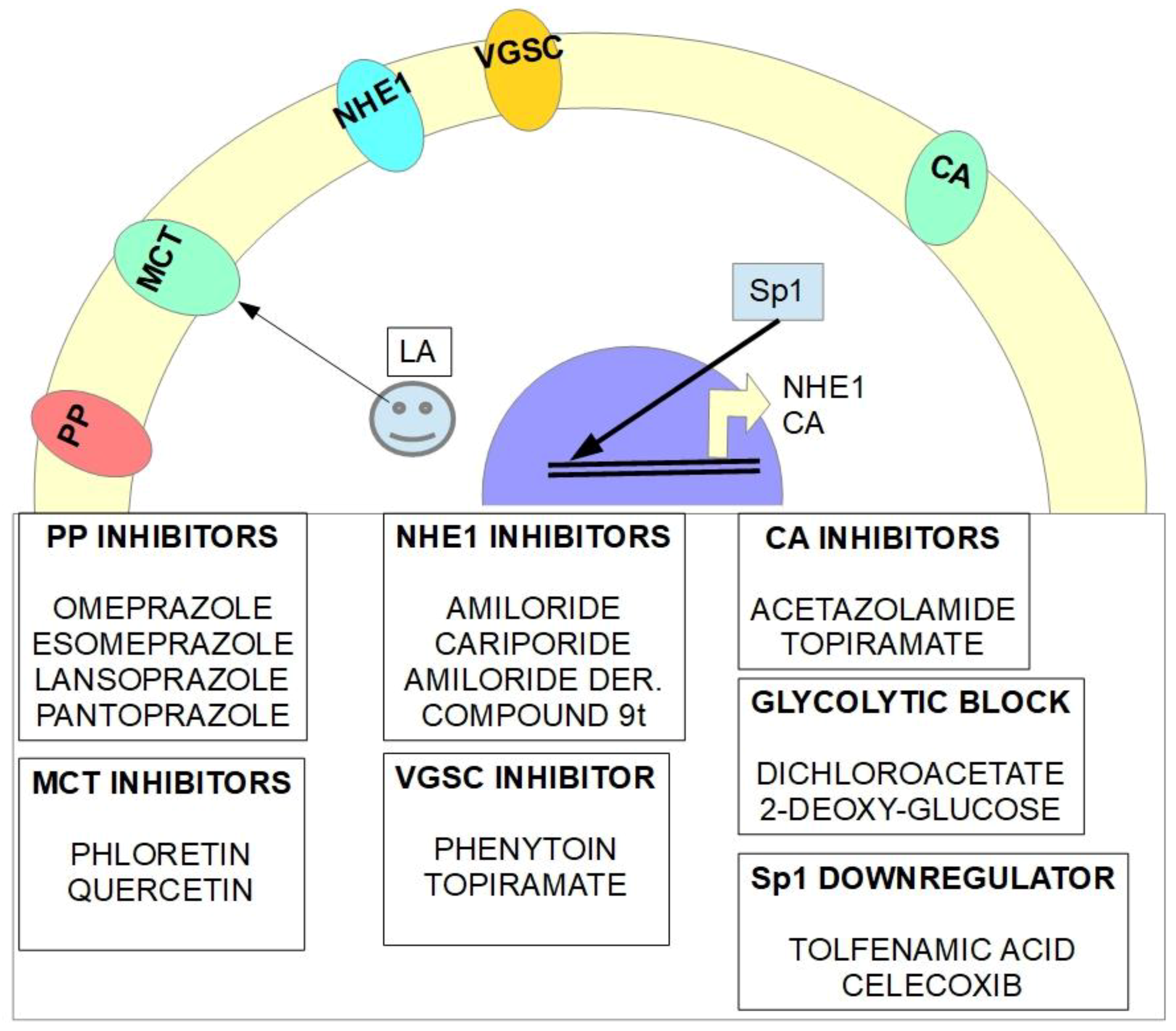Ijms 20 05438 g003 Ijms 20 05438 g003