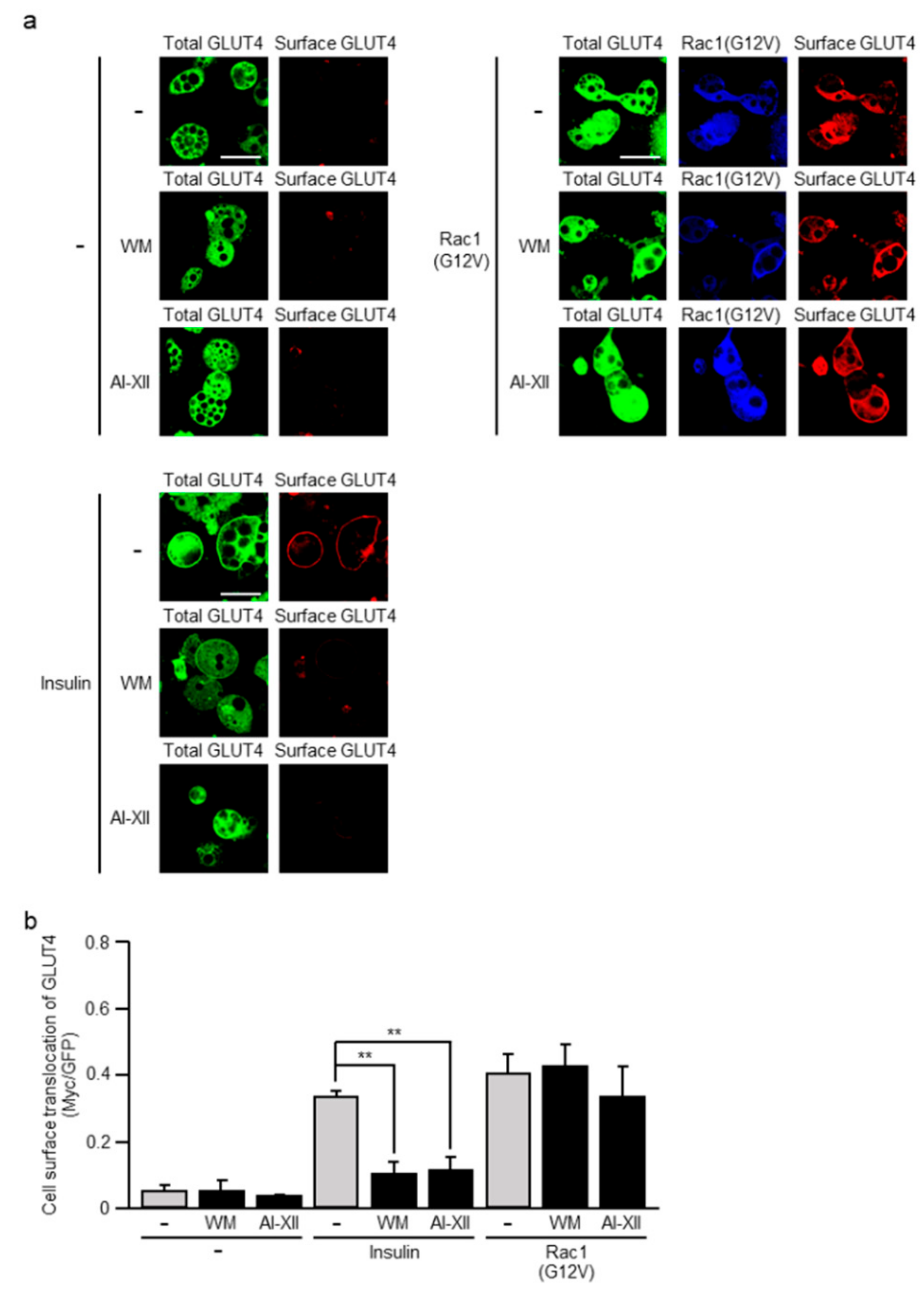 Ijms 20 05443 g003 Ijms 20 05443 g003