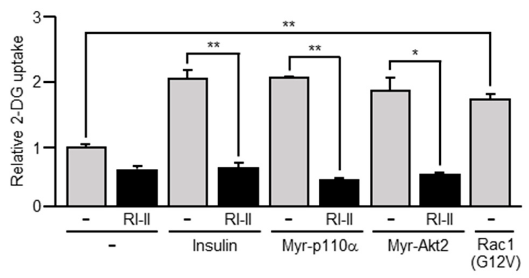 Ijms 20 05443 g004 Ijms 20 05443 g004