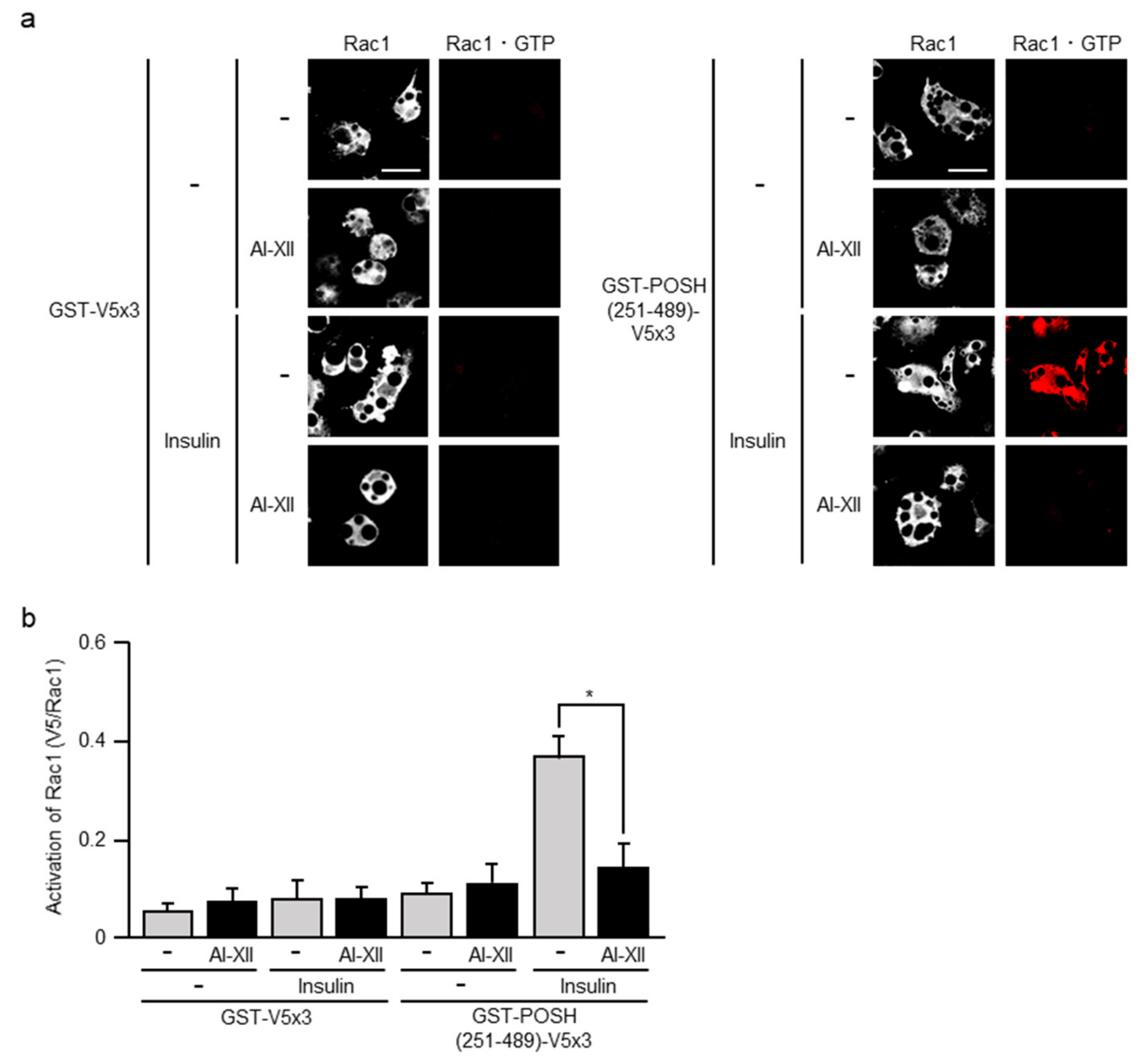Ijms 20 05443 g006 Ijms 20 05443 g006