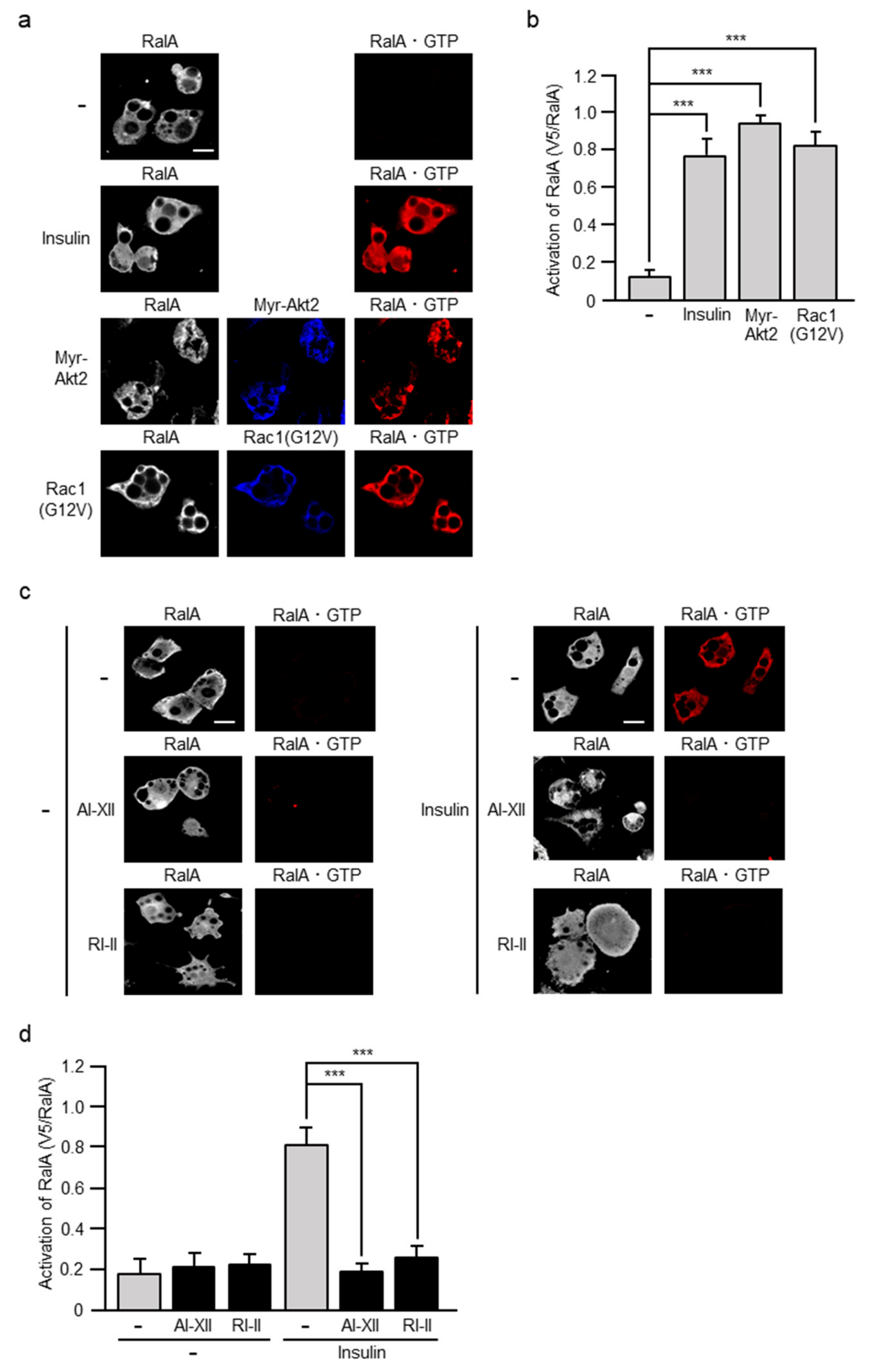 Ijms 20 05443 g008 Ijms 20 05443 g008