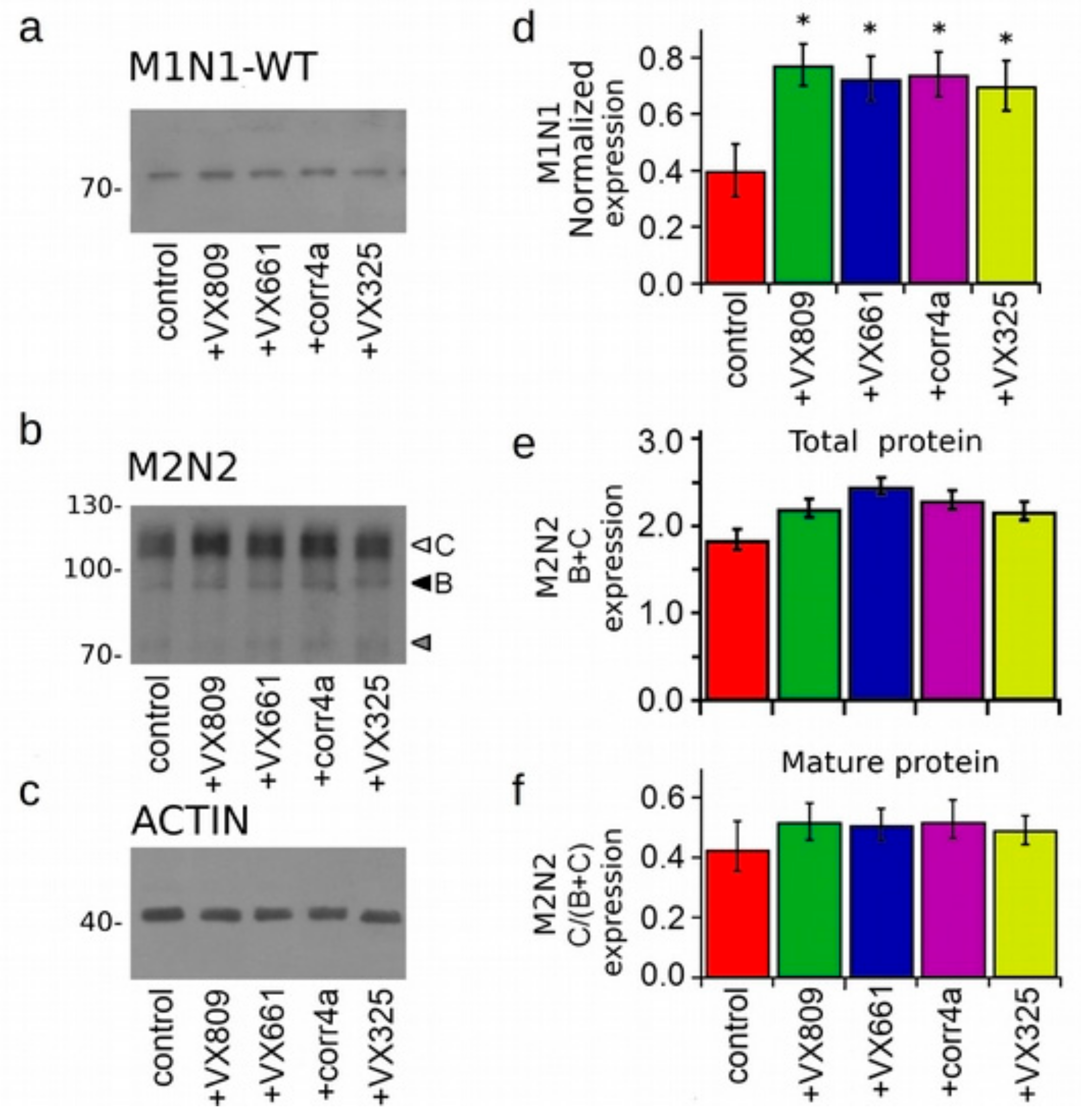 Ijms 20 05463 g004