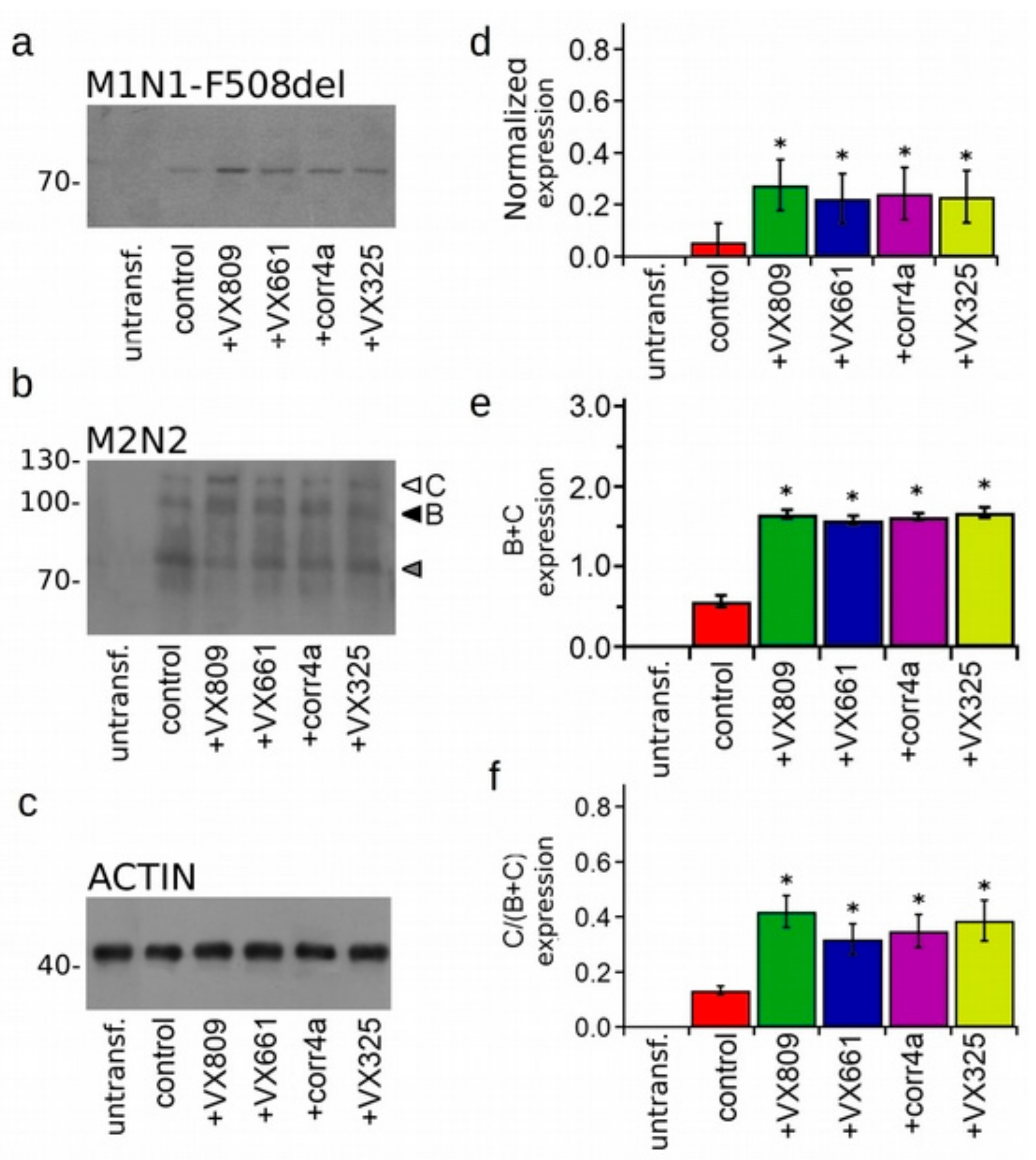 Ijms 20 05463 g005