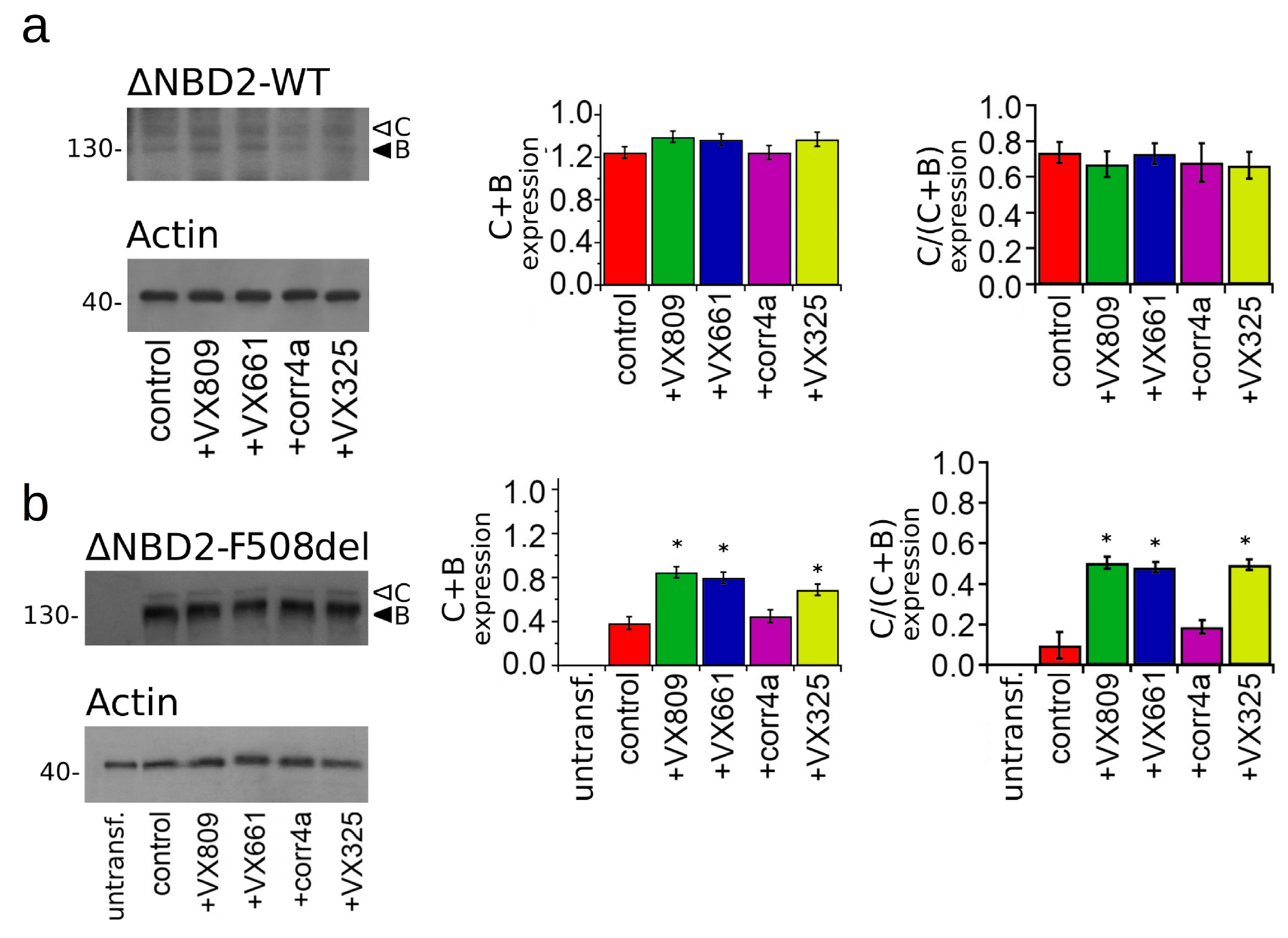 Ijms 20 05463 g006