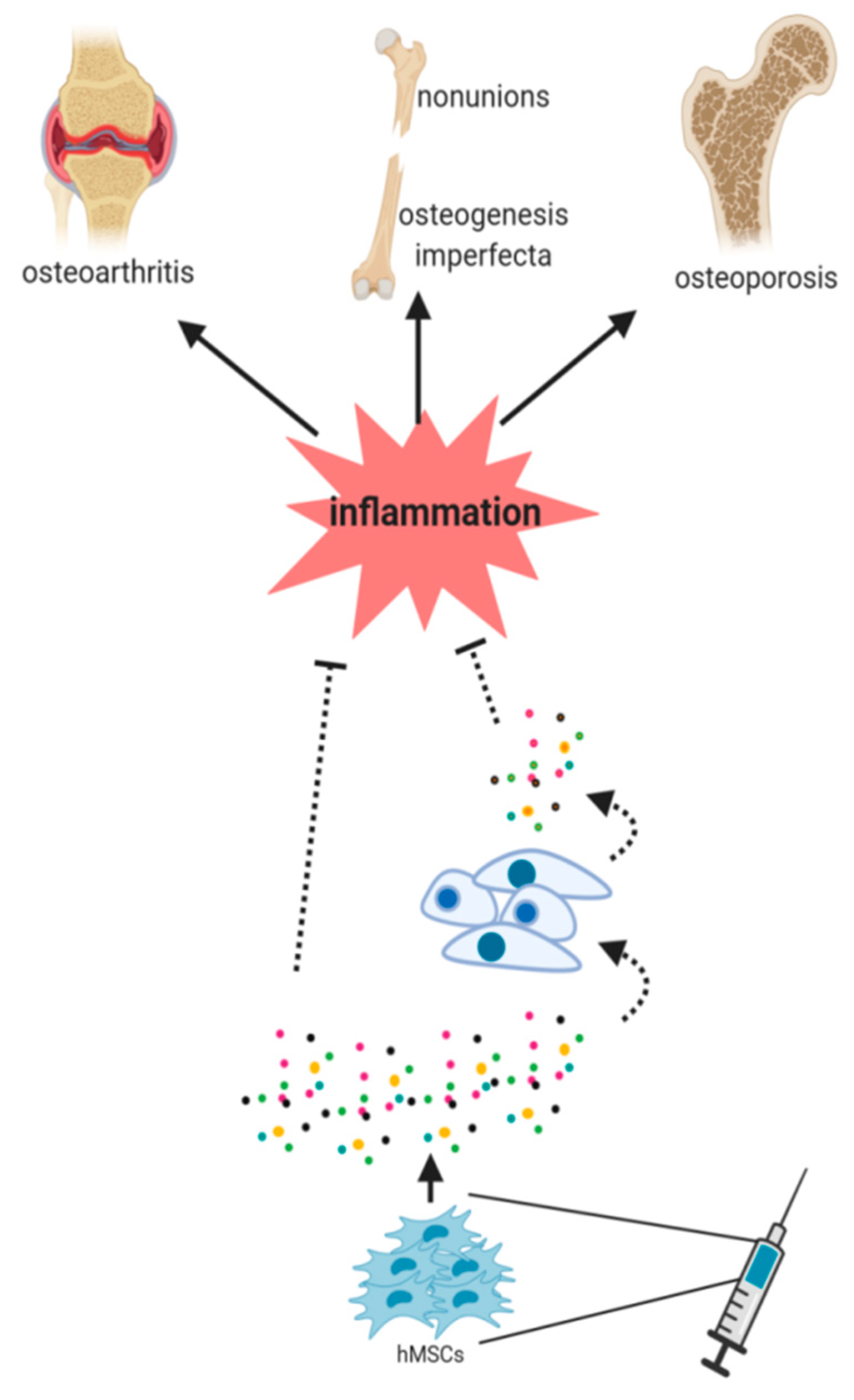 Ijms 20 05467 g002 Ijms 20 05467 g002