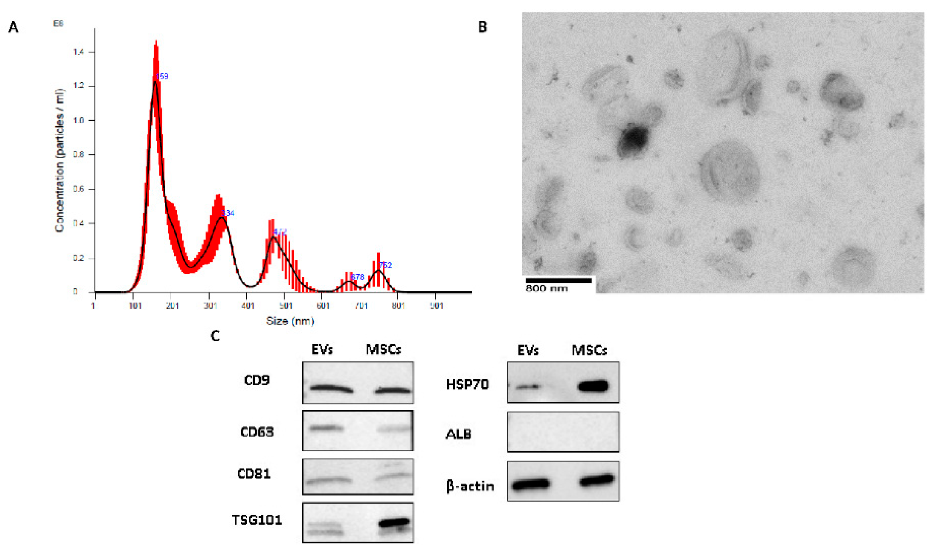 Ijms 20 05468 g001