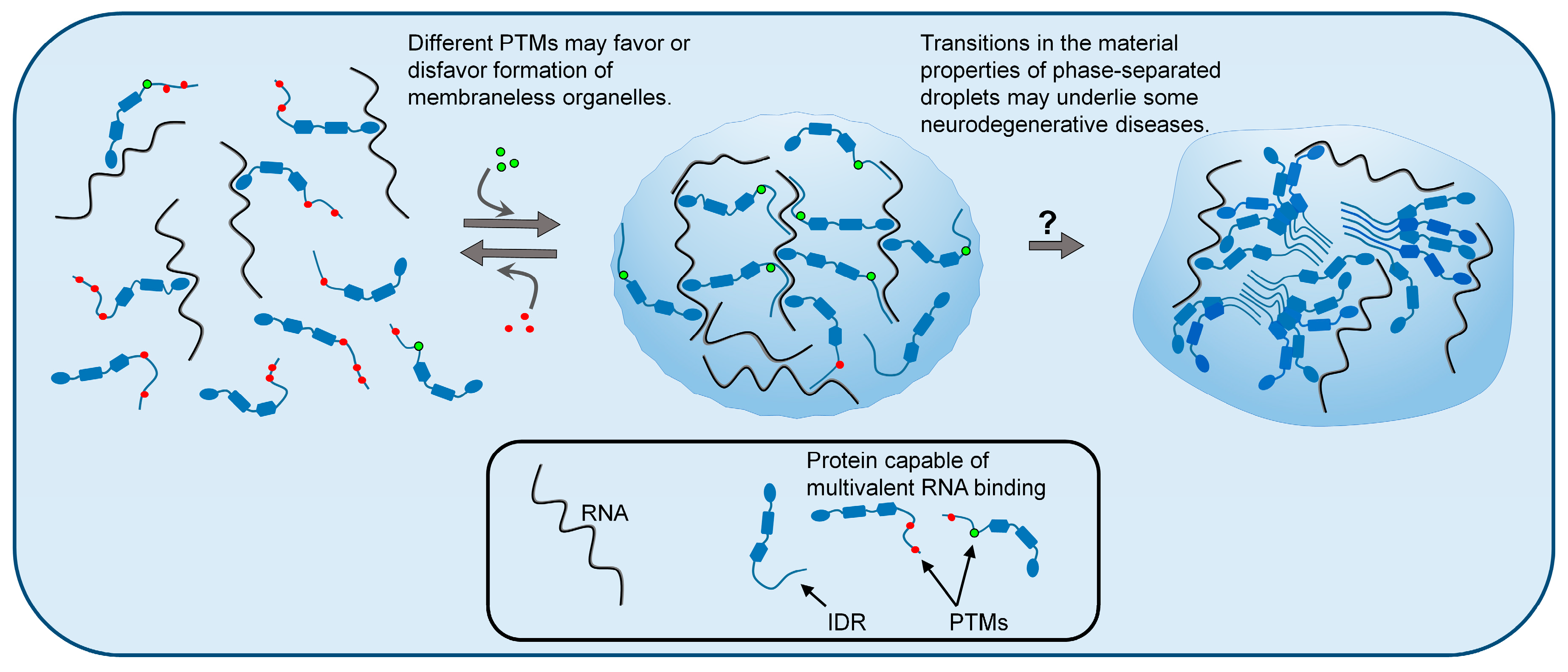 Ijms 20 05501 g001 Ijms 20 05501 g001