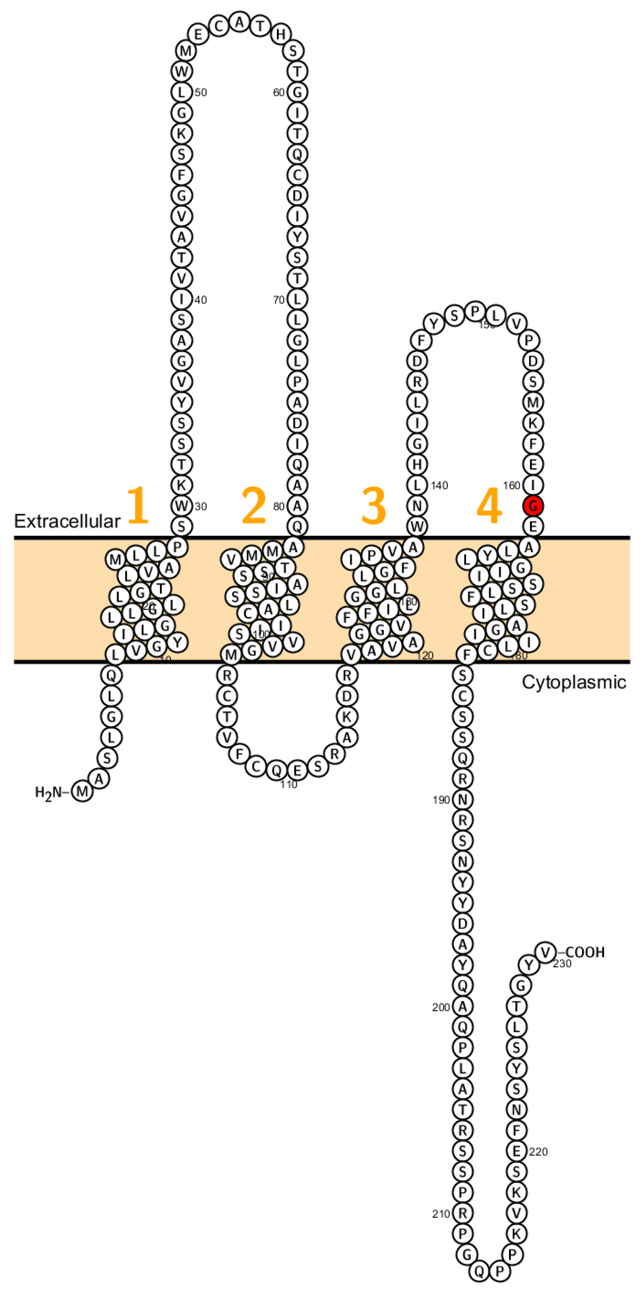 Ijms 20 05504 g002