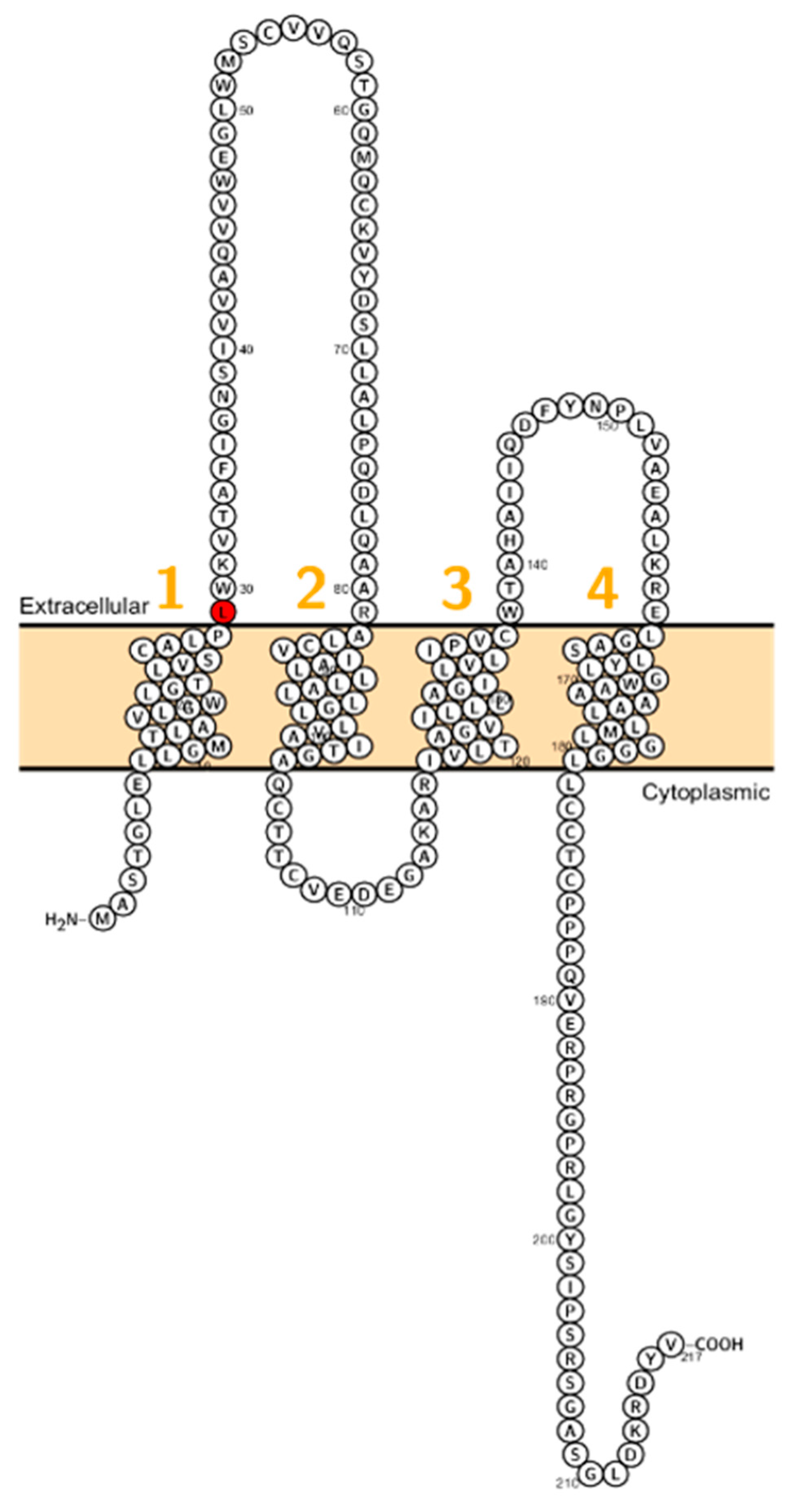 Ijms 20 05504 g003
