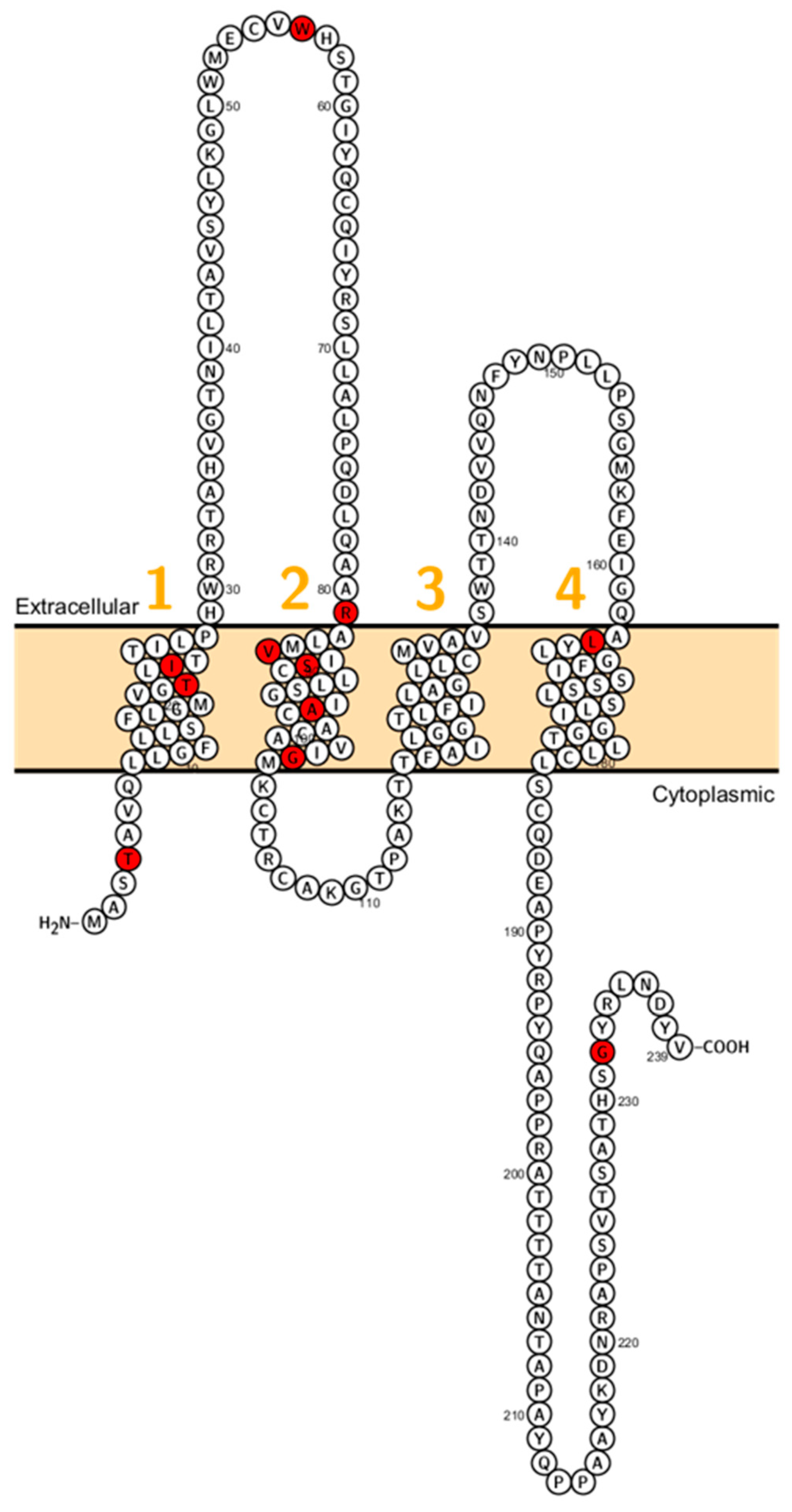 Ijms 20 05504 g005