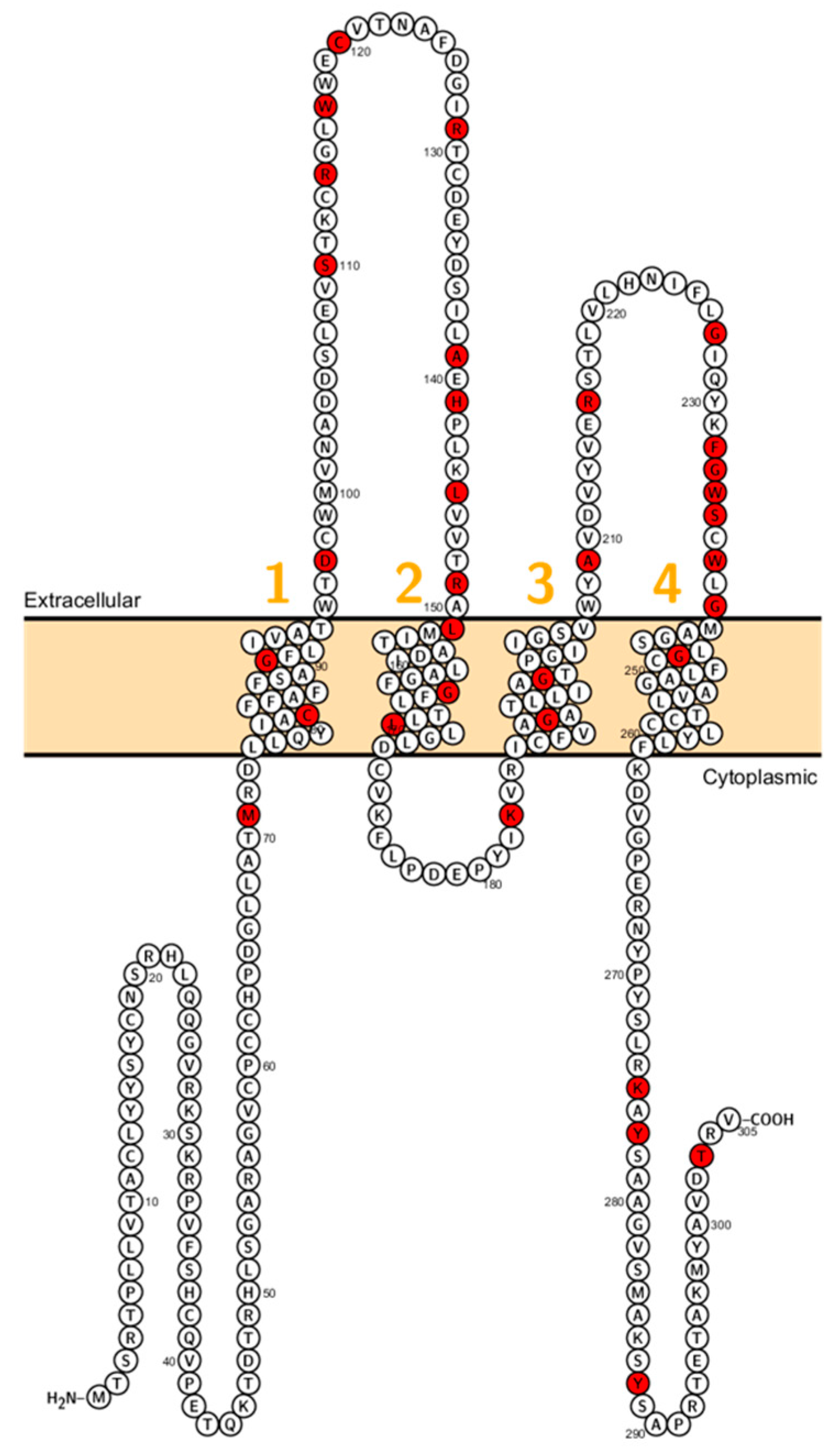 Ijms 20 05504 g006