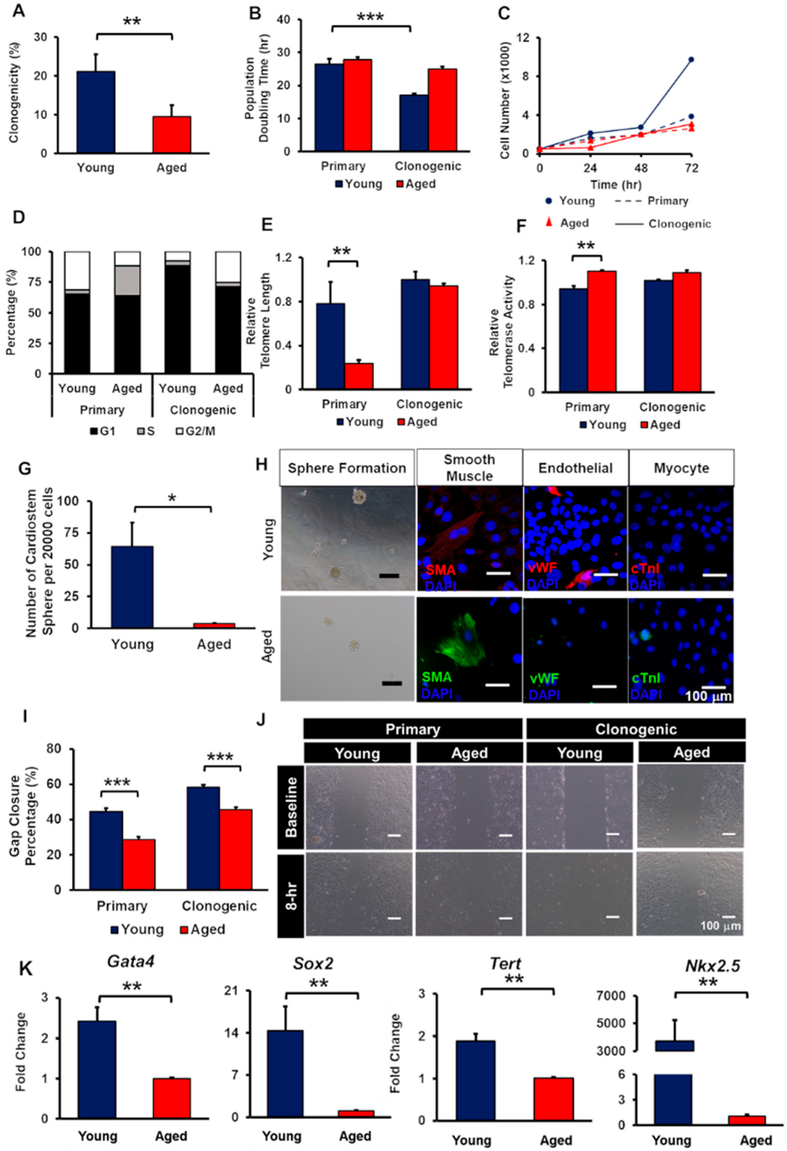 Ijms 20 05519 g002 Ijms 20 05519 g002