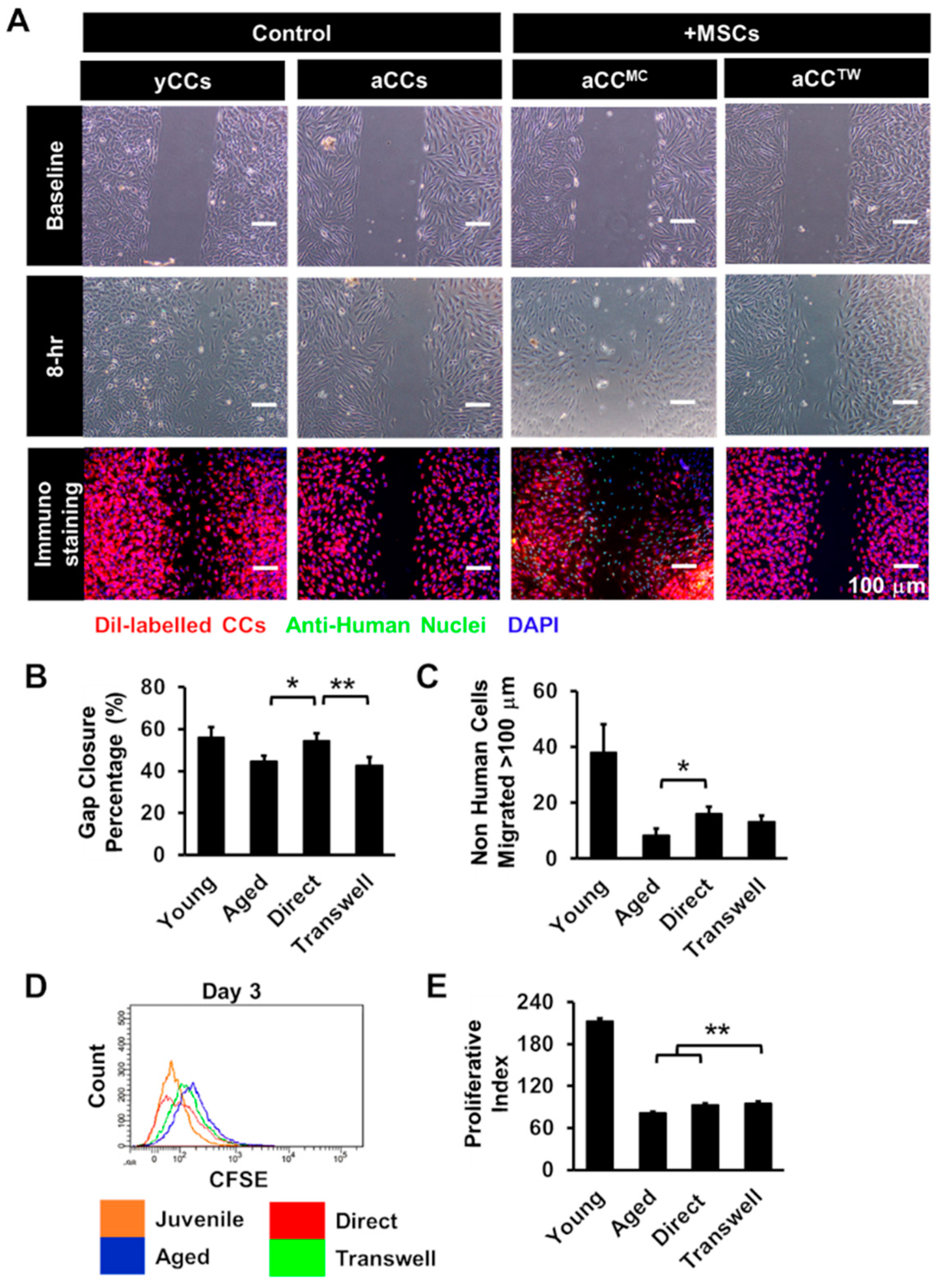 Ijms 20 05519 g003 Ijms 20 05519 g003