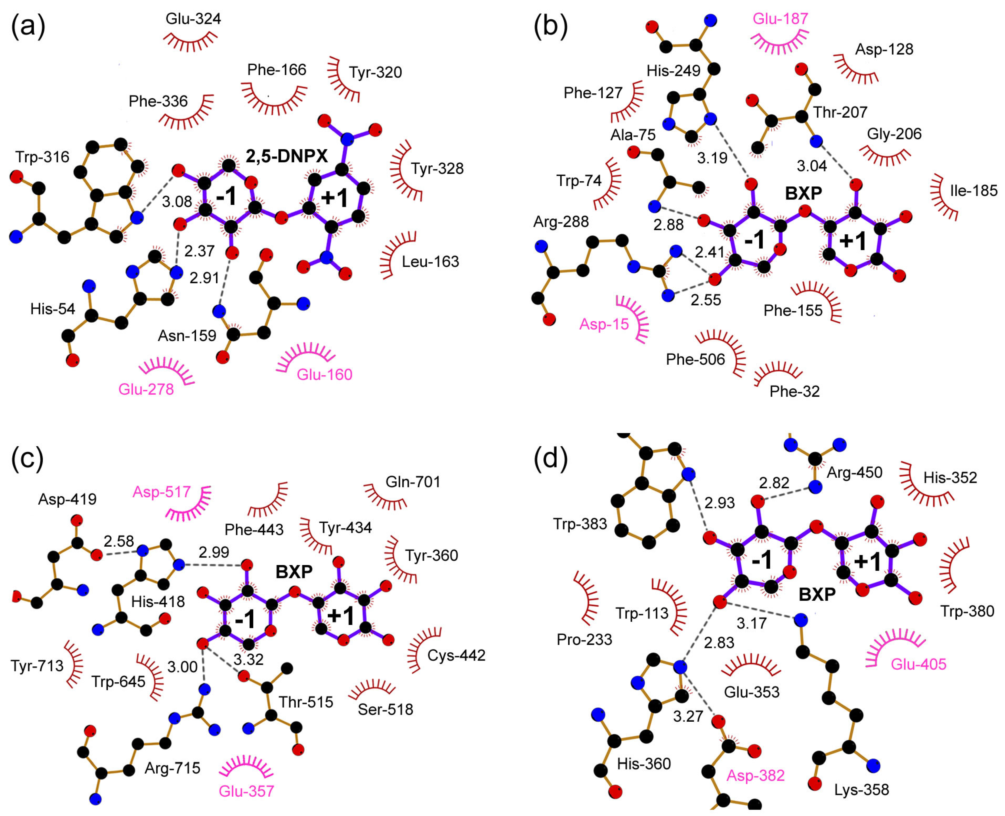 Ijms 20 05524 g004 Ijms 20 05524 g004