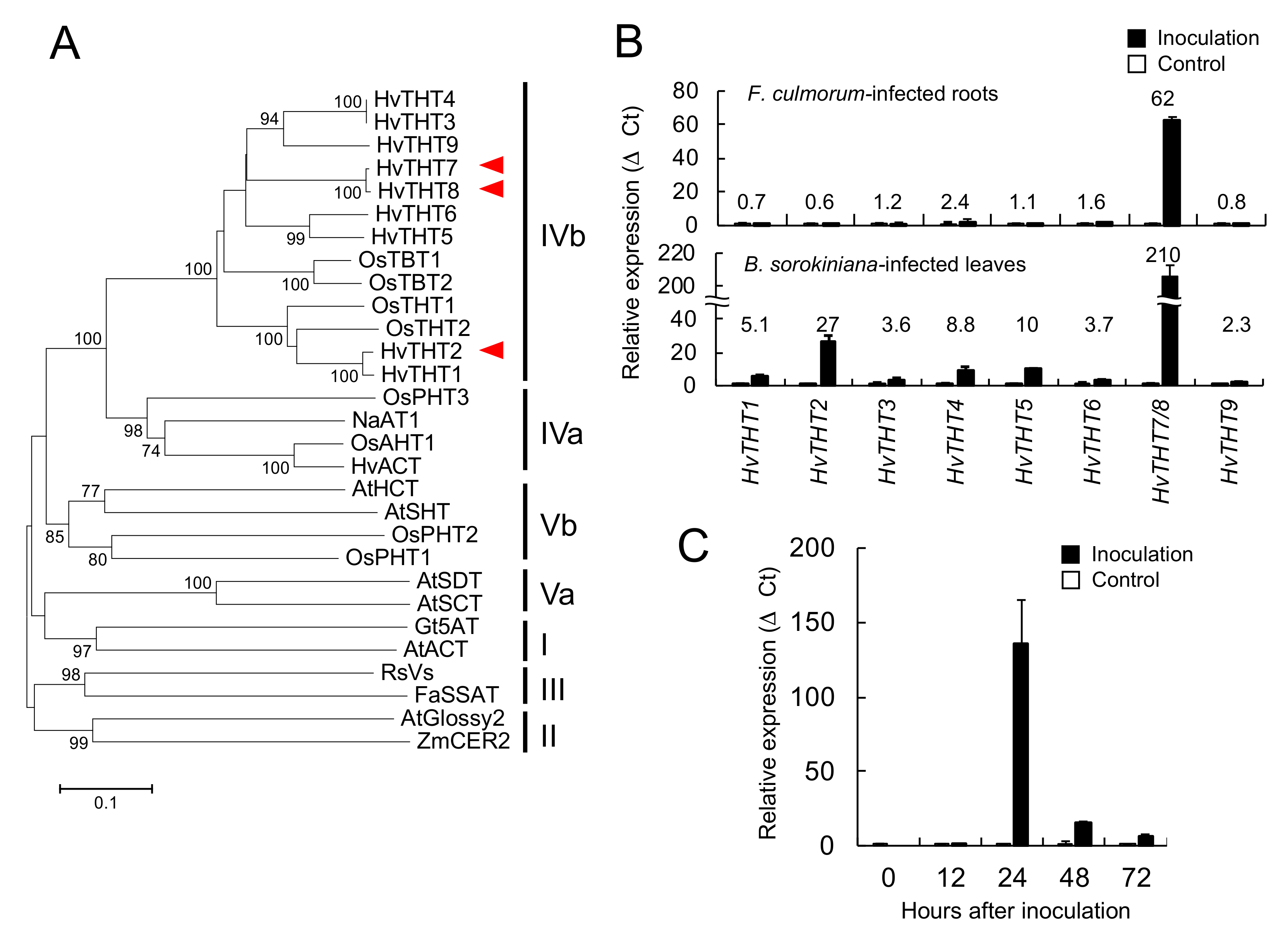 Ijms 20 05541 g006 550