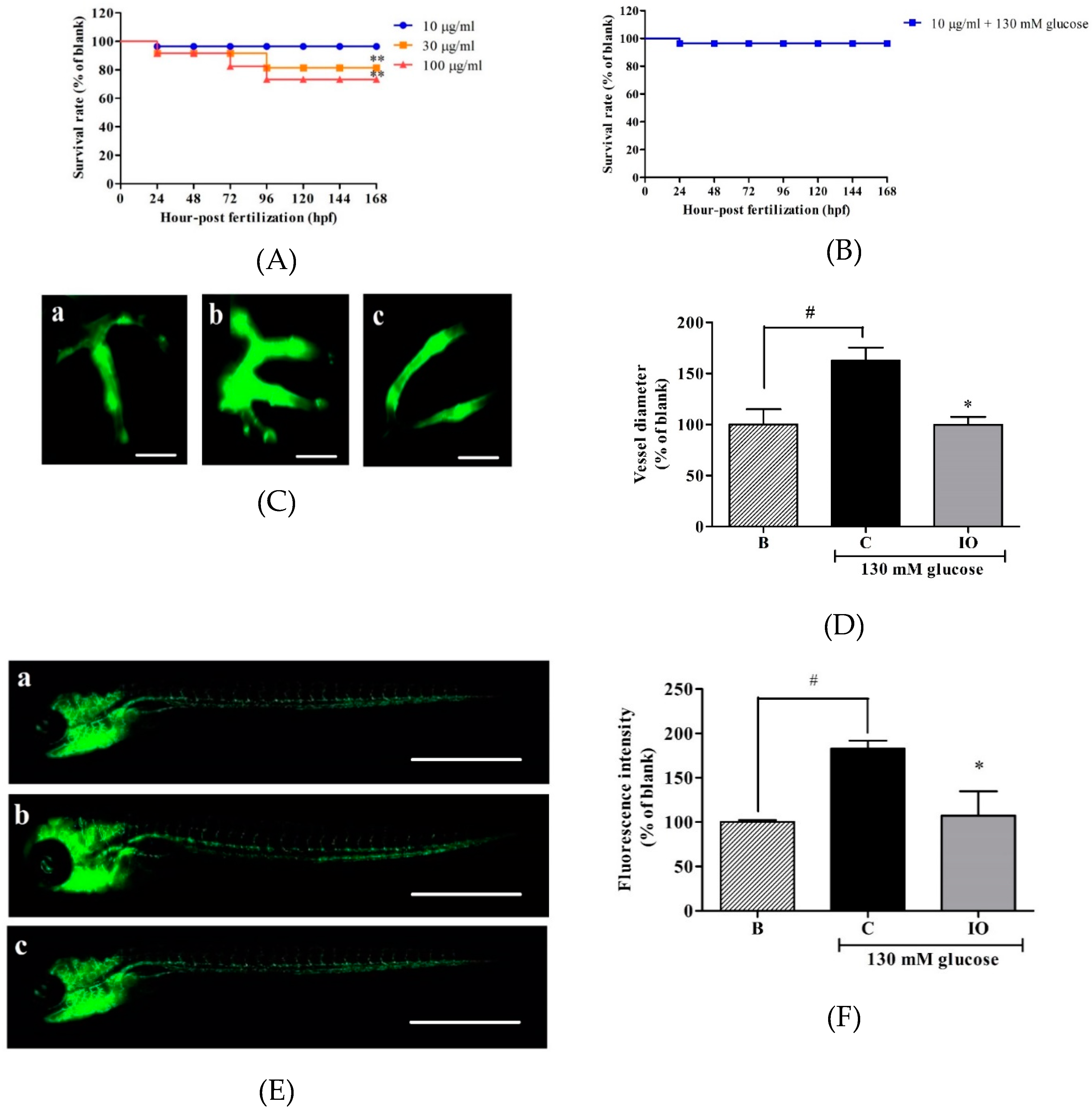 Ijms 20 05542 g001 Ijms 20 05542 g001
