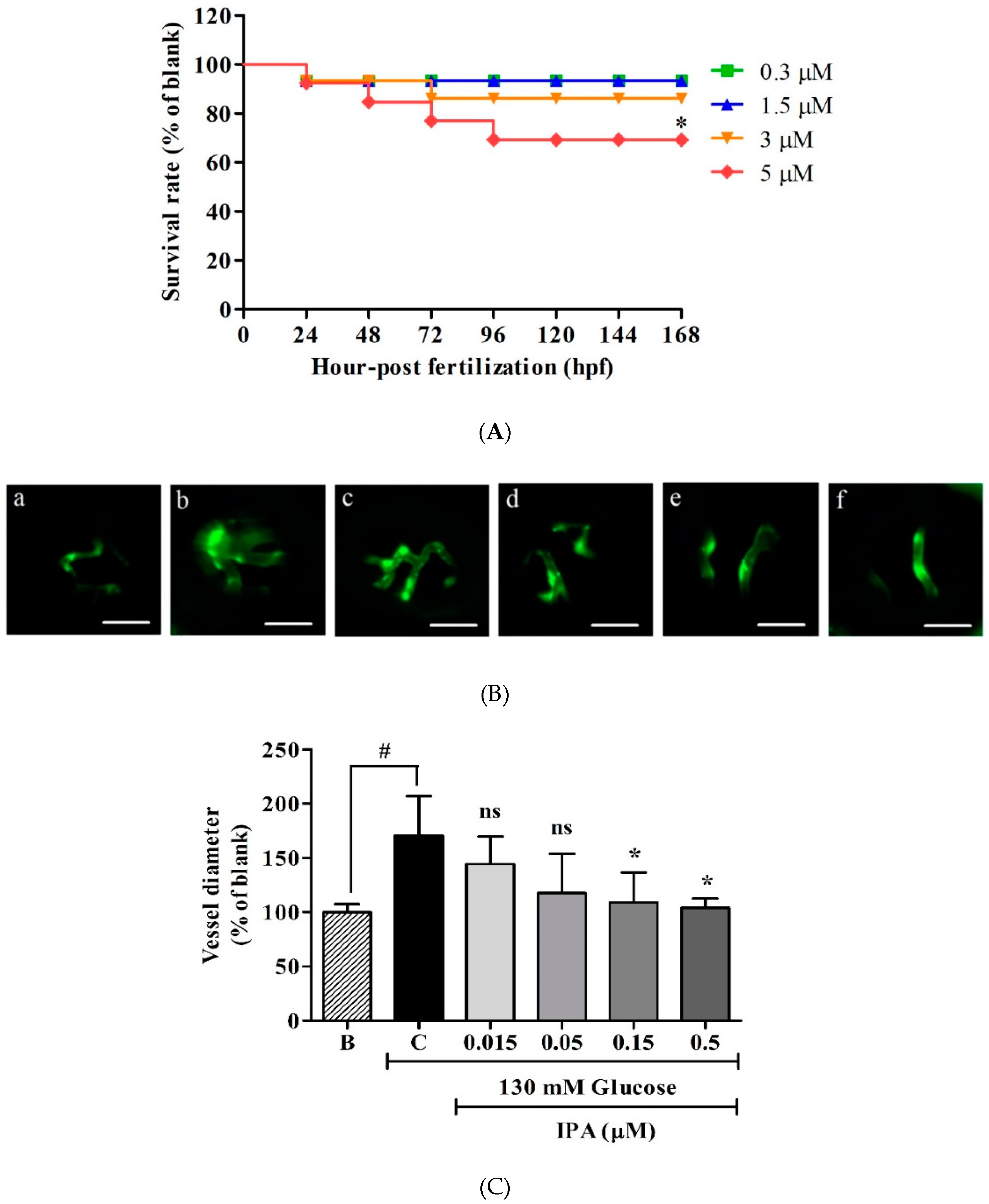 Ijms 20 05542 g002a Ijms 20 05542 g002a