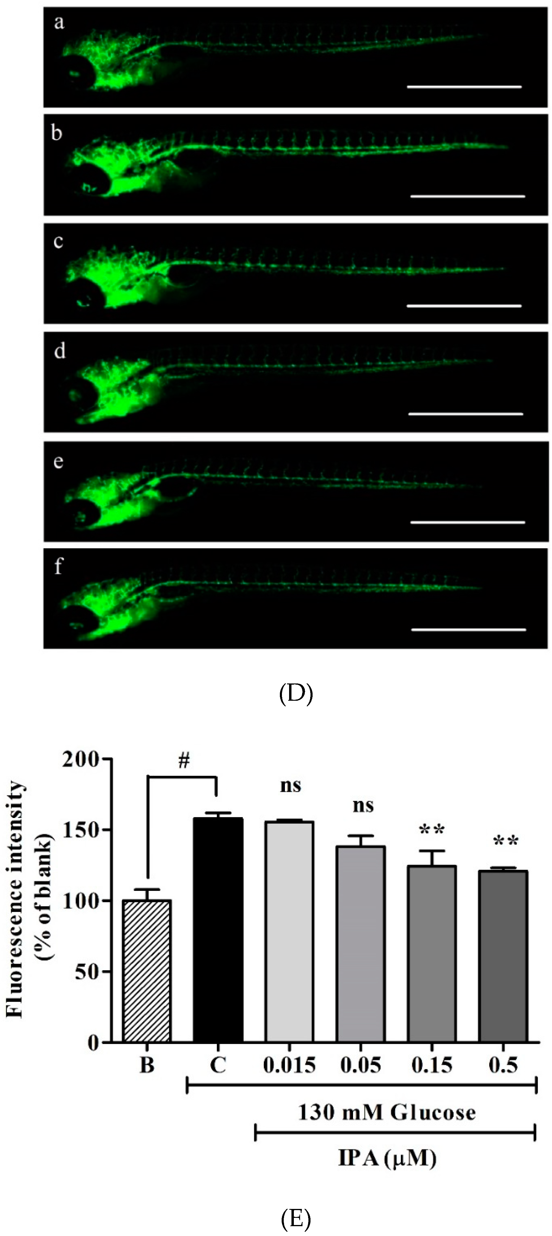 Ijms 20 05542 g002b Ijms 20 05542 g002b