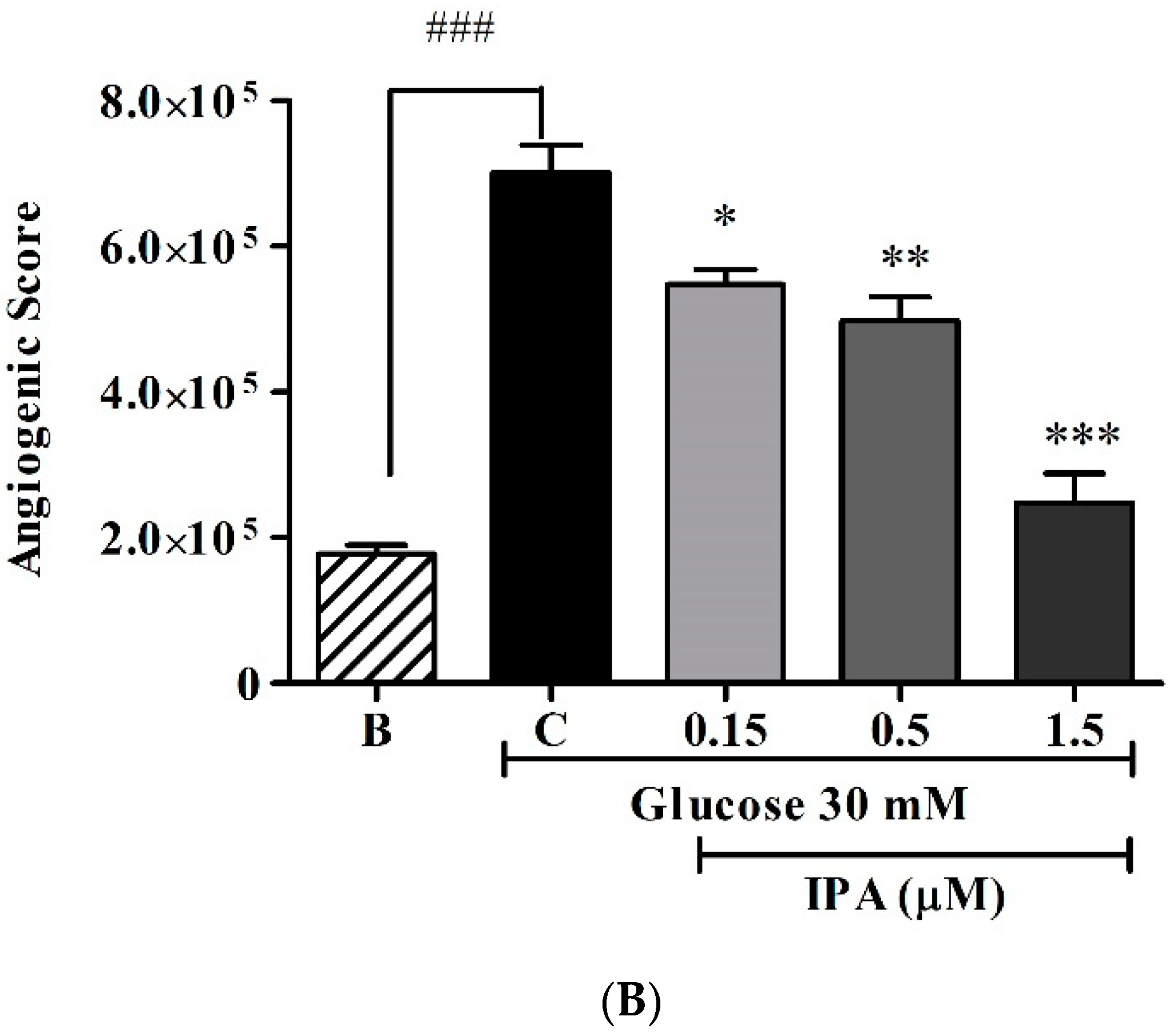 Ijms 20 05542 g005b Ijms 20 05542 g005b