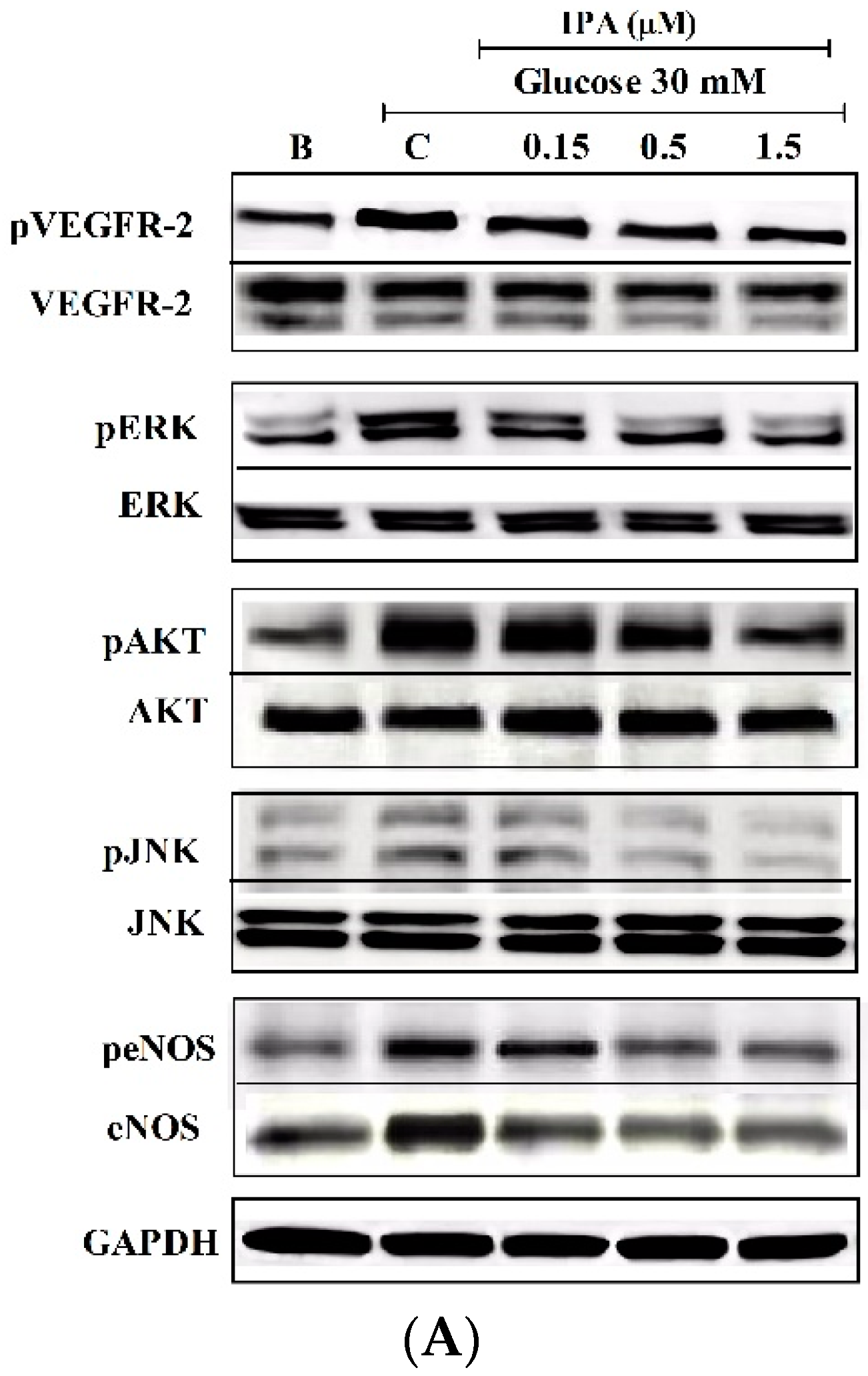 Ijms 20 05542 g006a Ijms 20 05542 g006a