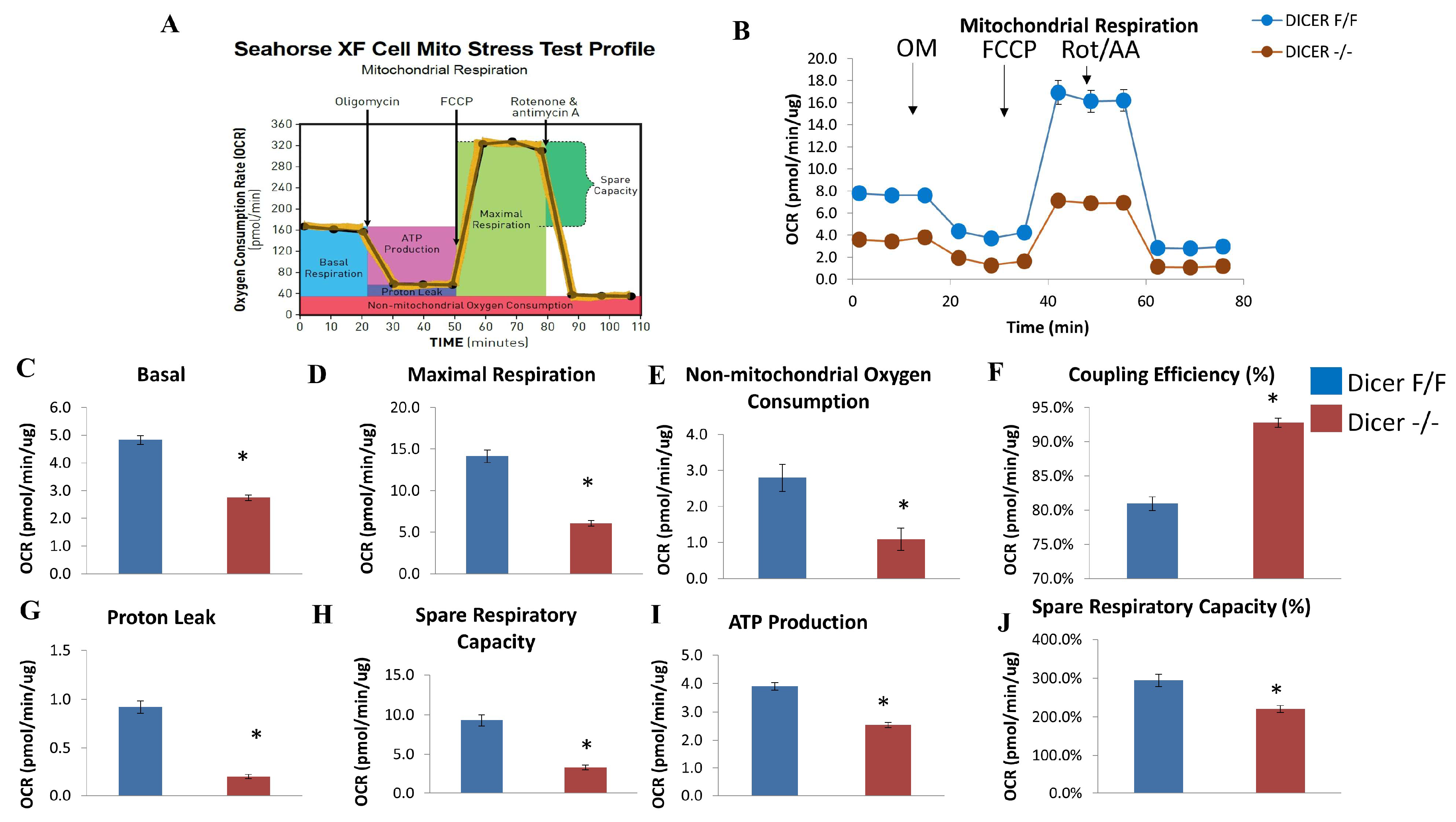 Ijms 20 05554 g003 Ijms 20 05554 g003