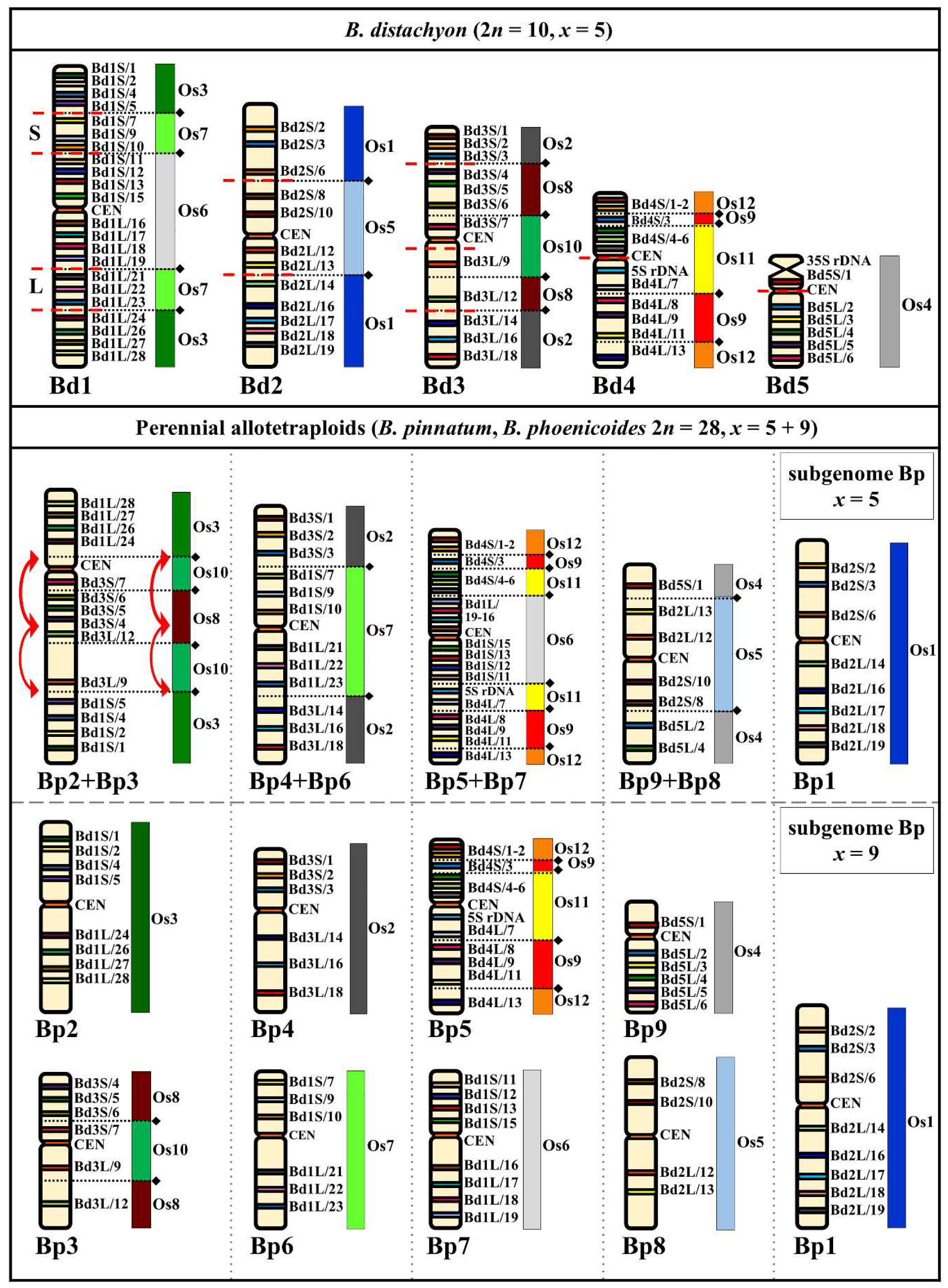 Ijms 20 05557 g003 Ijms 20 05557 g003