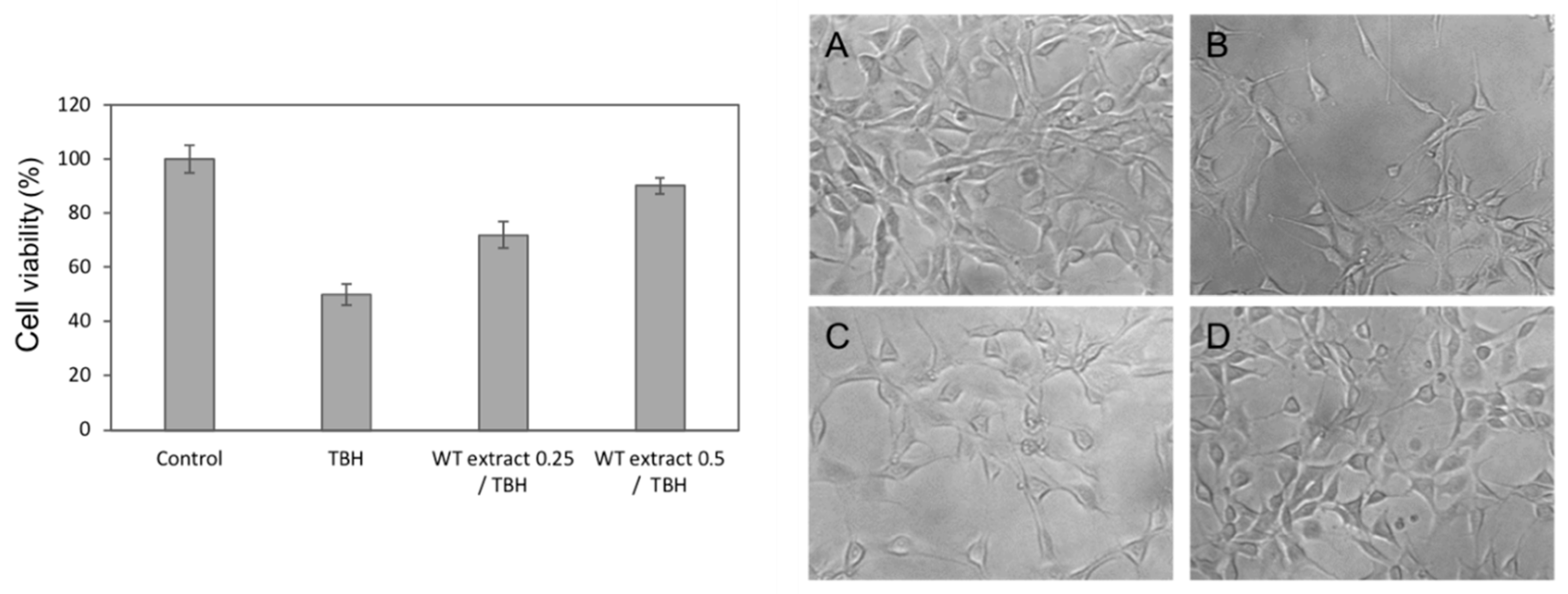 Ijms 20 05560 g005 Ijms 20 05560 g005