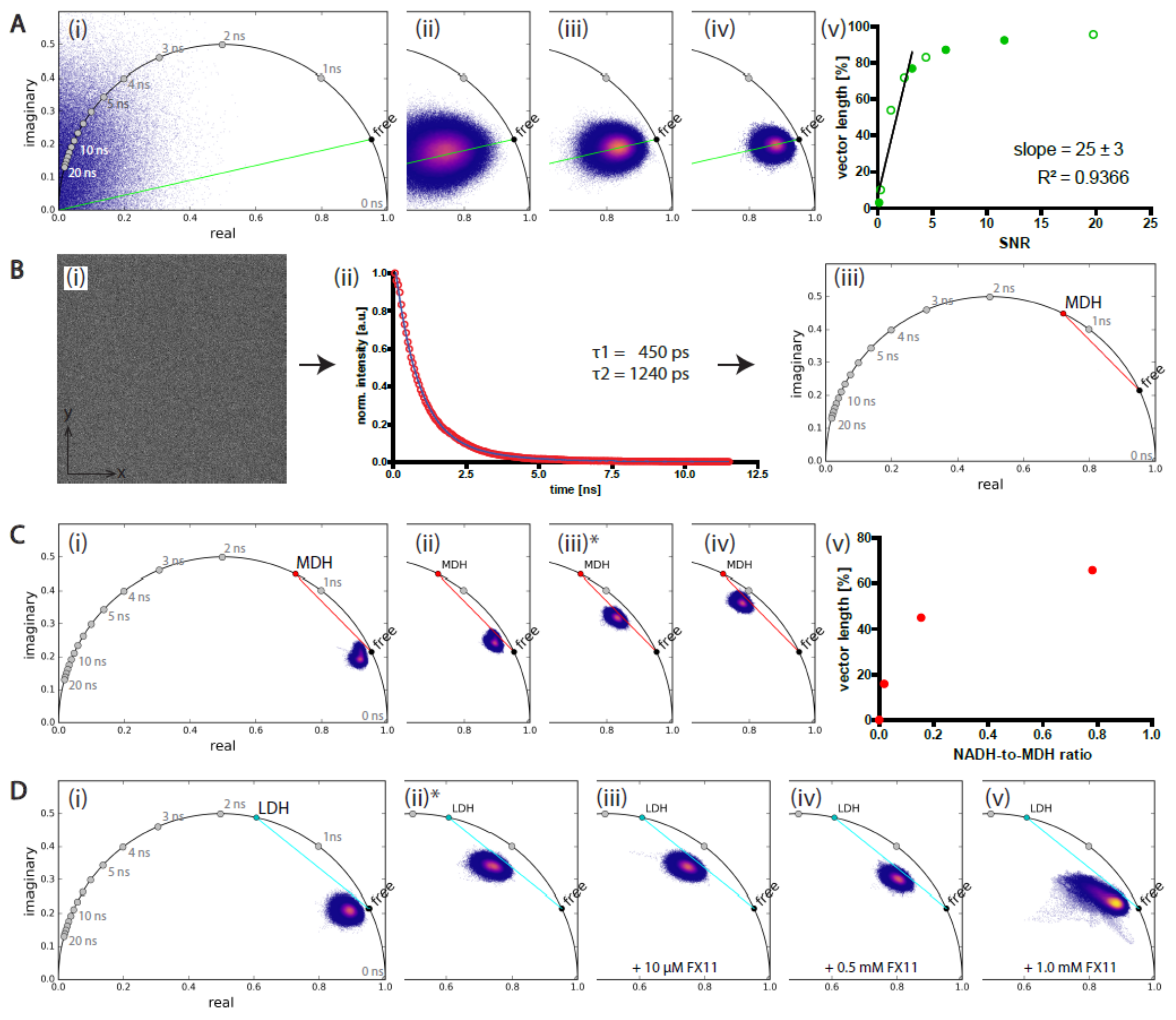Ijms 20 05565 g001 Ijms 20 05565 g001