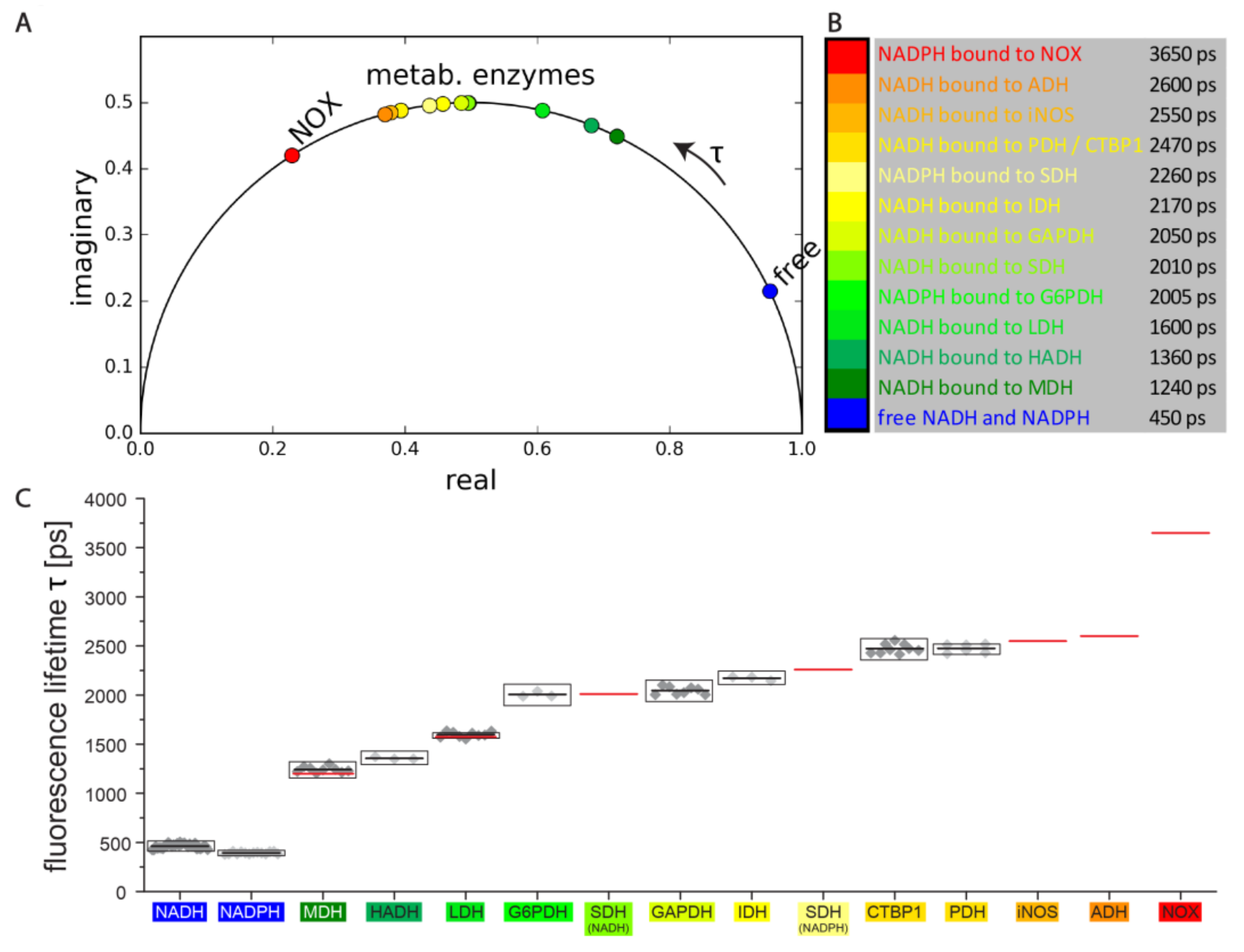 Ijms 20 05565 g002 Ijms 20 05565 g002