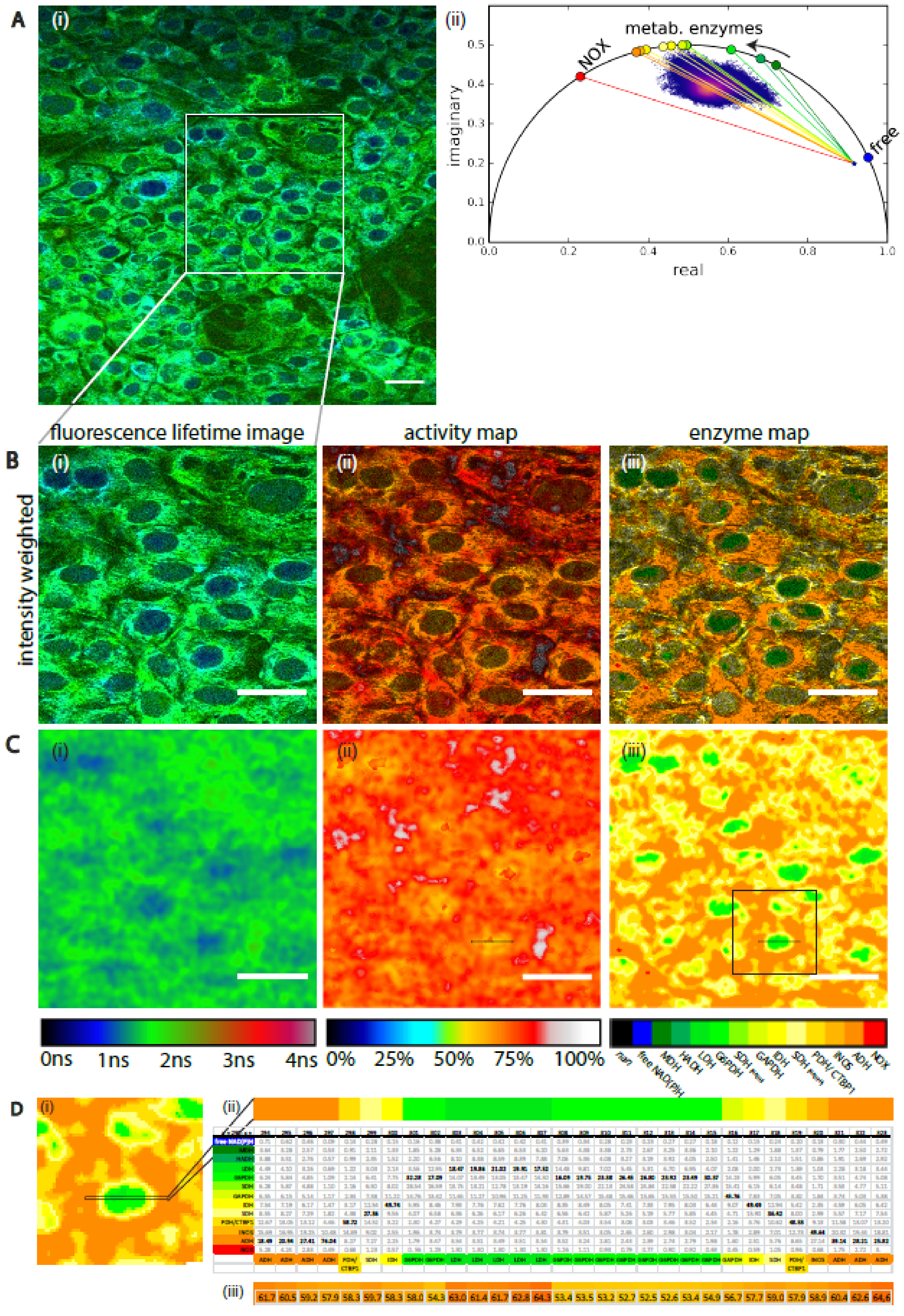Ijms 20 05565 g004 Ijms 20 05565 g004