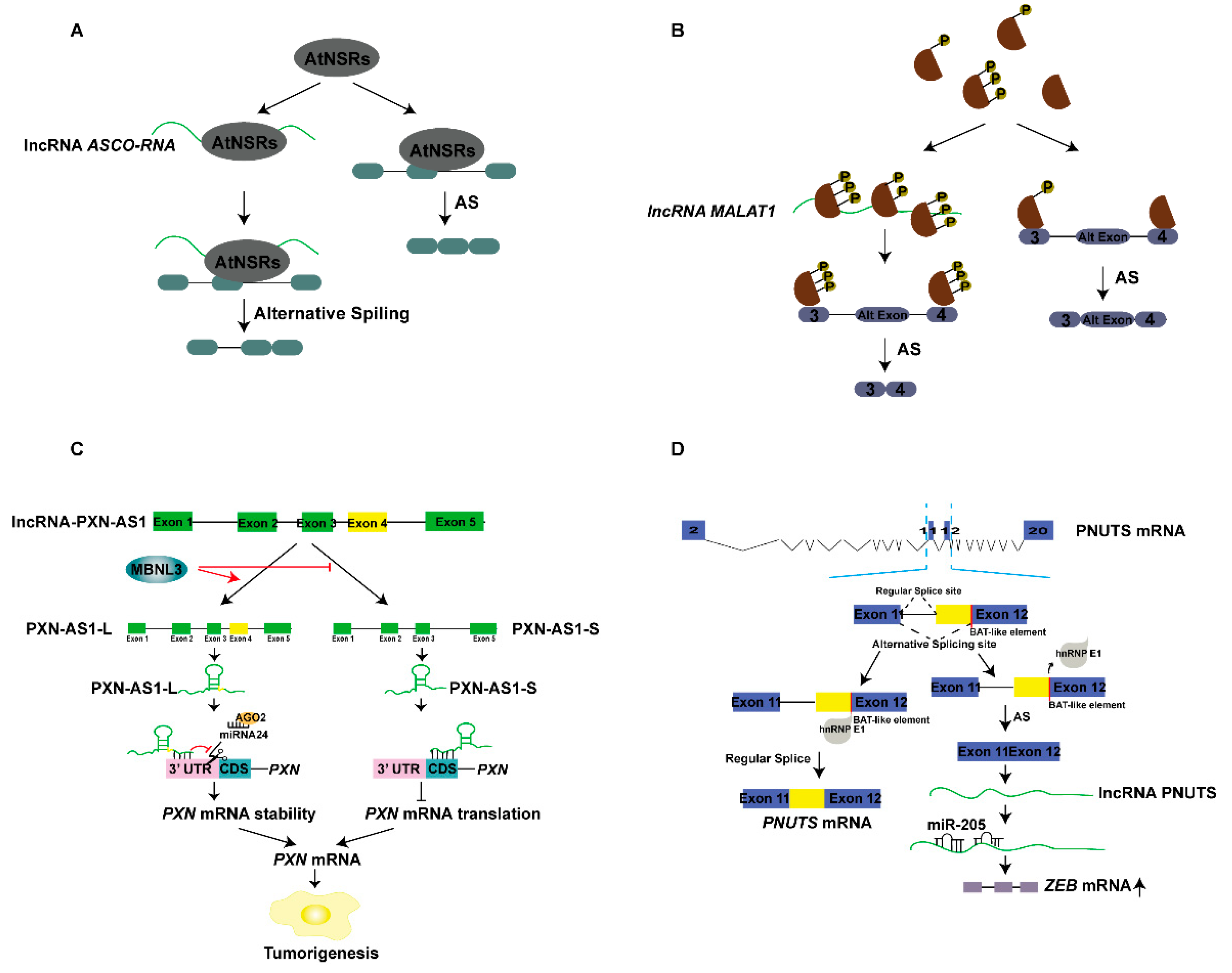 Ijms 20 05573 g005 Ijms 20 05573 g005