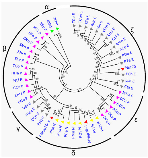 Ijms Free Full Text Establishing Computational Approaches Towards Identifying Malarial Allosteric Modulators A Case Study Of Plasmodium Falciparum Hsp70s Html Ijms Free Full Text Establishing Computational Approaches Towards Identifying Malarial Allosteric Modulators A Case Study Of Plasmodium Falciparum Hsp70s Html