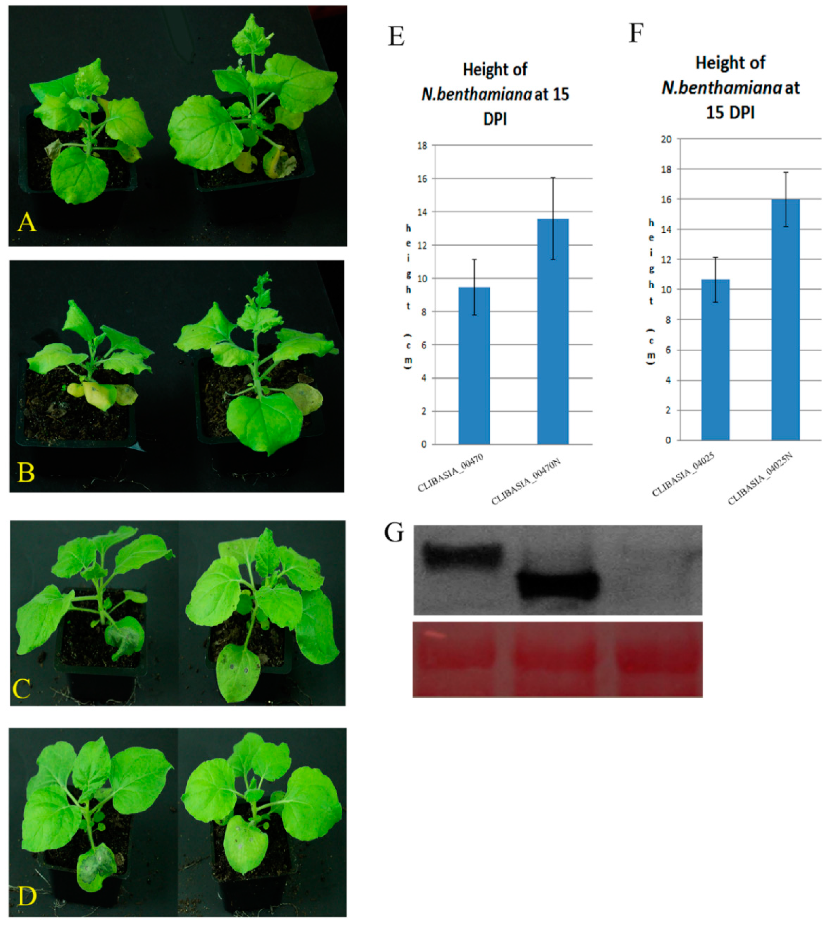 Ijms 20 05575 g002 Ijms 20 05575 g002