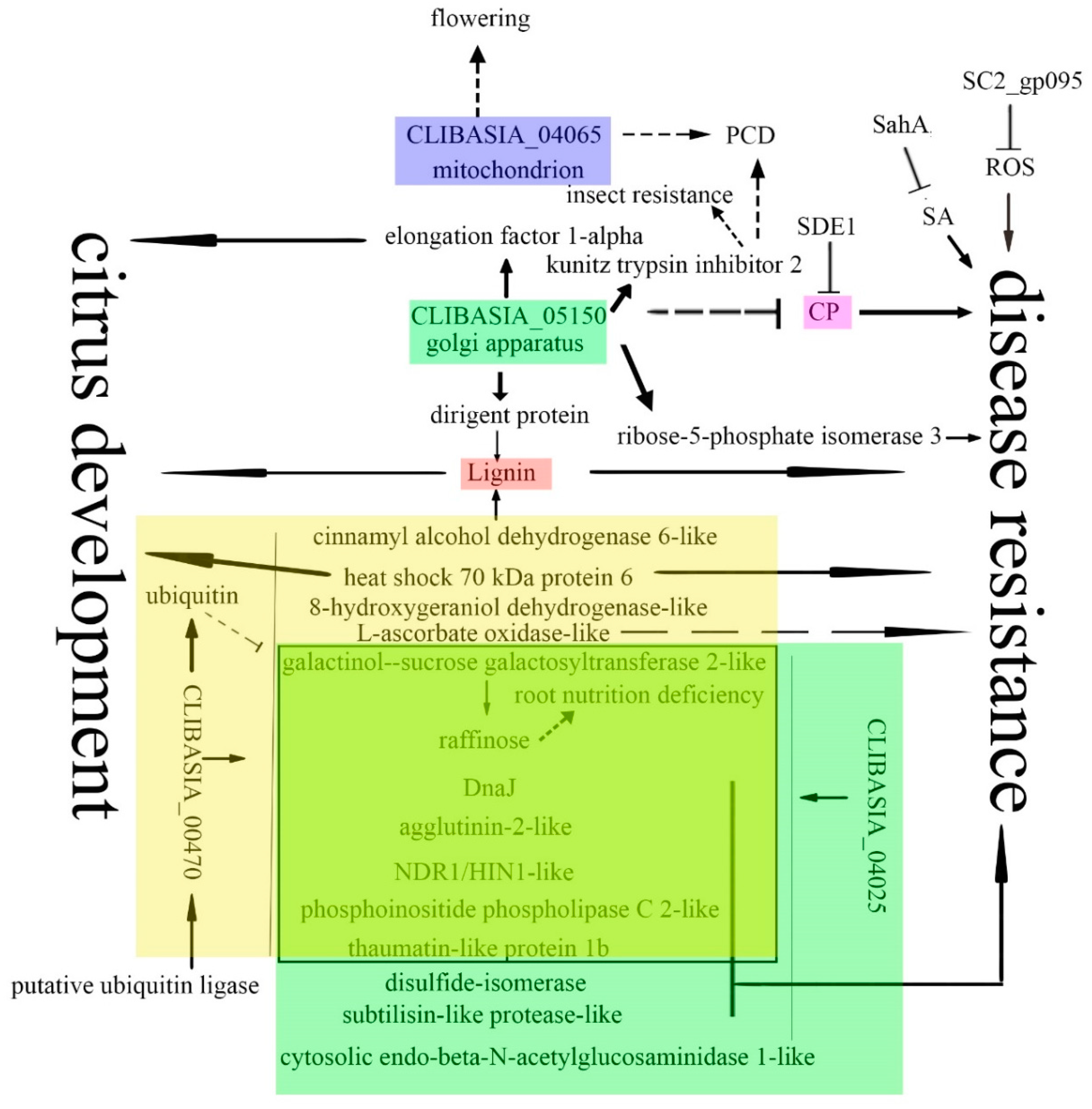 Ijms 20 05575 g005 Ijms 20 05575 g005