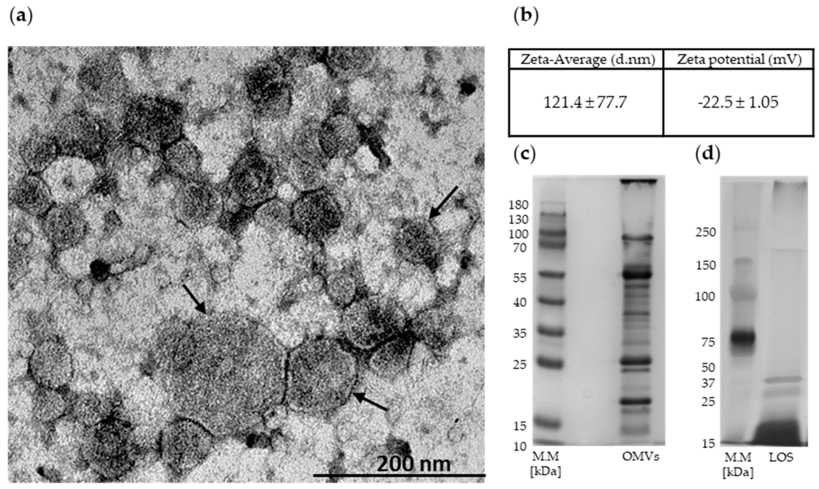 Ijms 20 05577 g001
